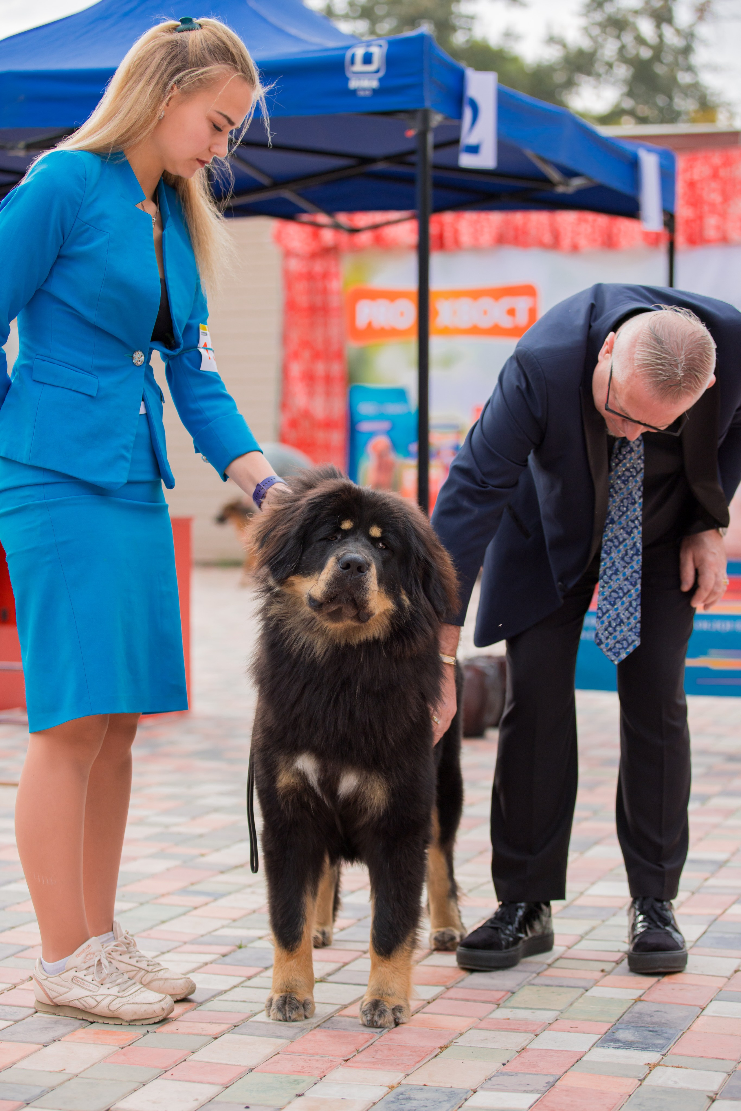 Ташкент 6-8.10.2023 + Алматы 14-15.10.2023. Фотограф-анималист Юлия Германика