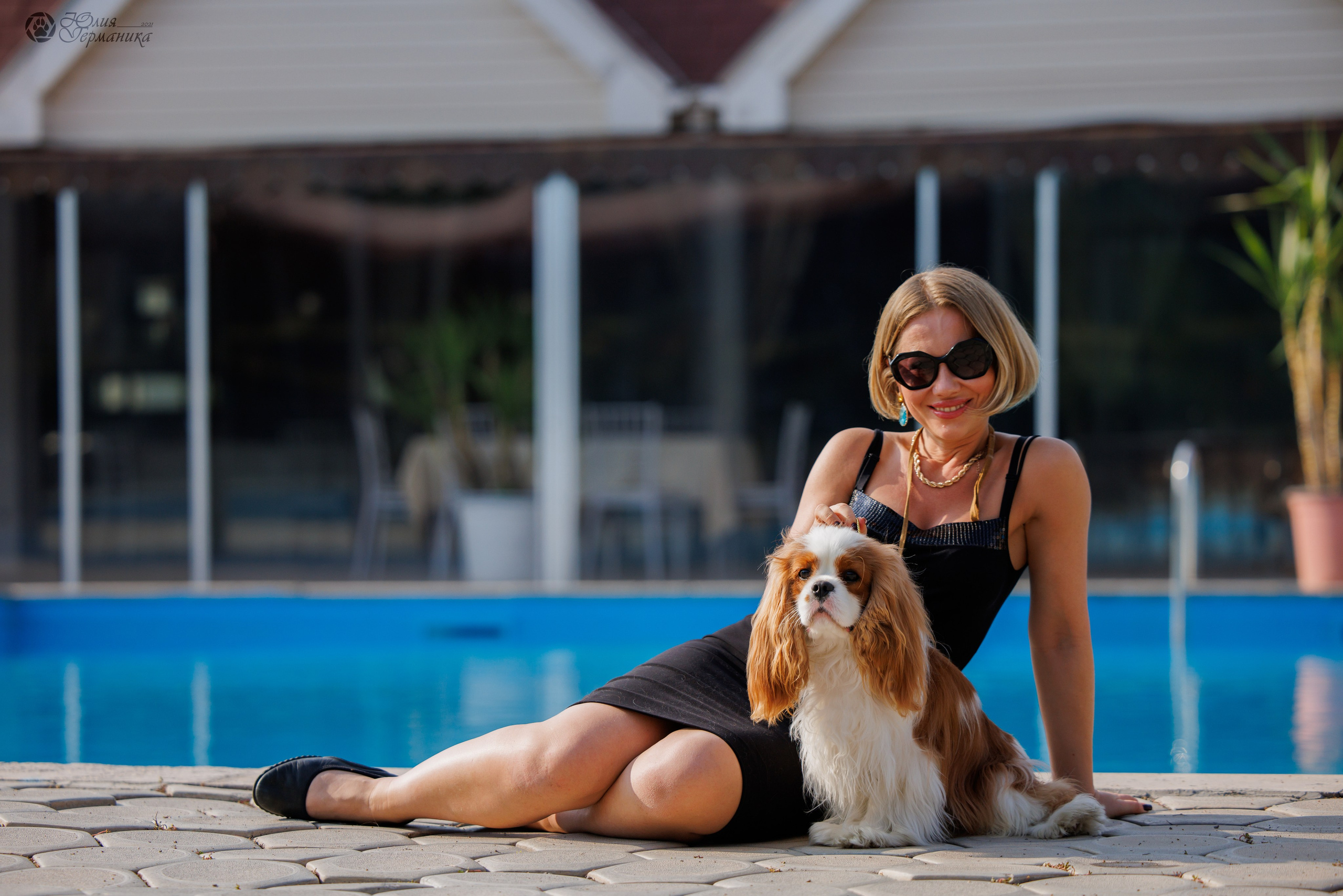 Армения,Ереван 3хCACIB 15-17.10.2024. Фотограф-анималист Юлия Германика