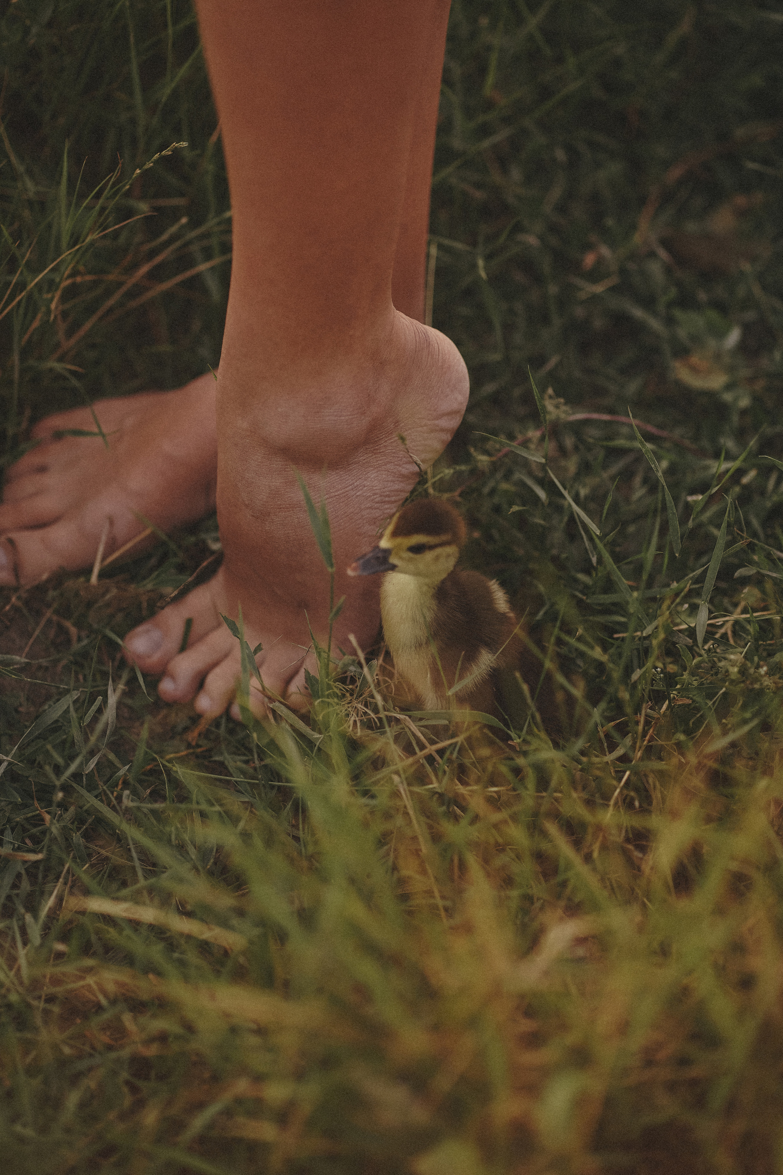 Рассветные истории. Фотограф Дарья Филатова