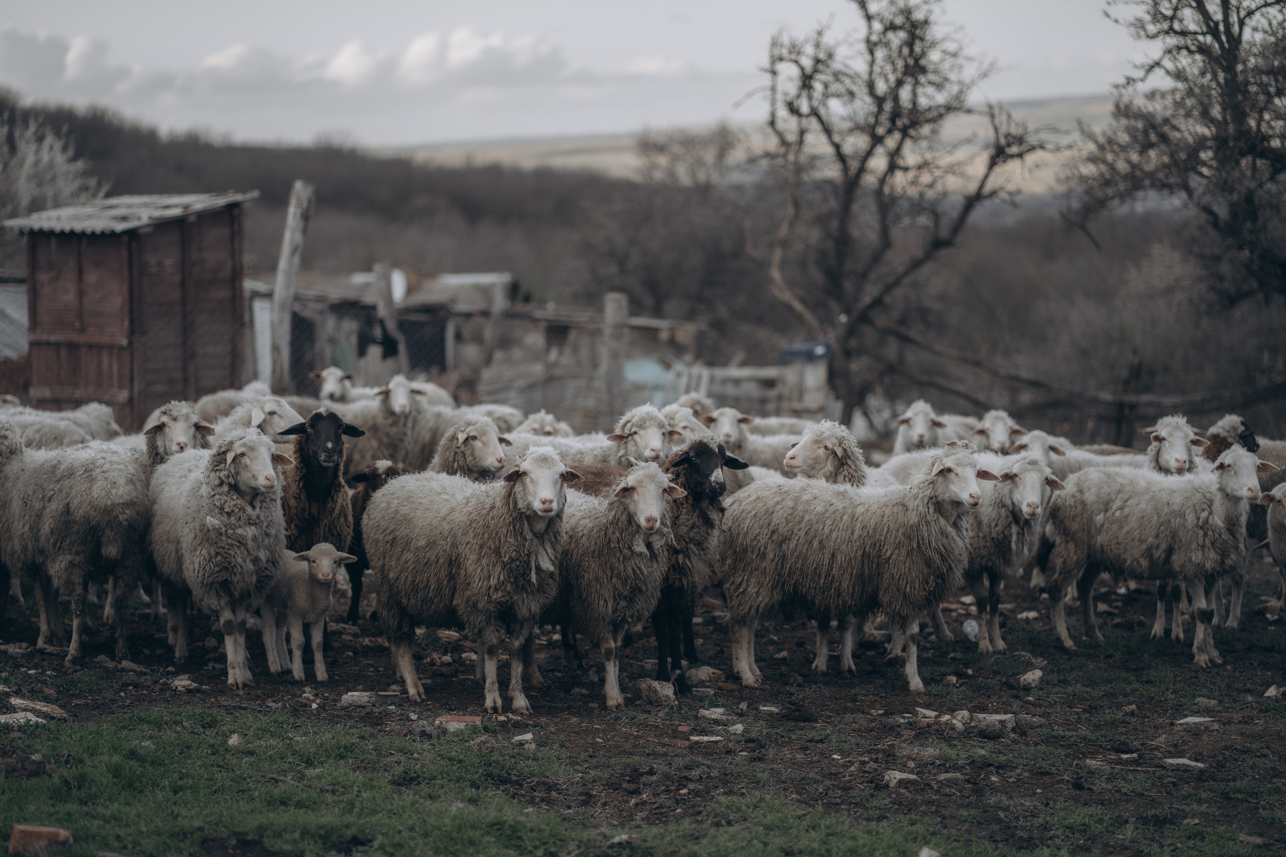 Весна в душе. Фотограф Дарья Филатова