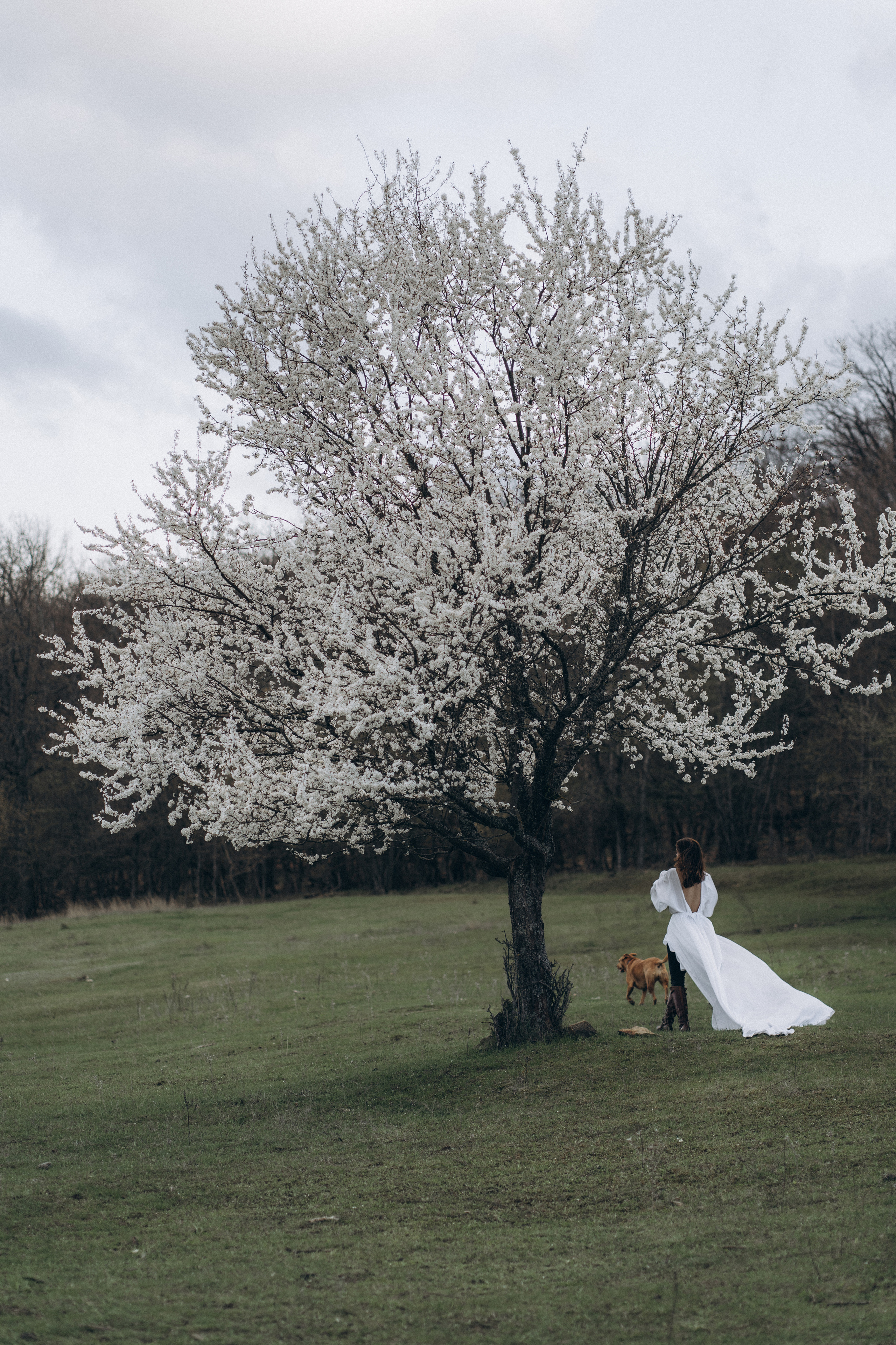 Весна в душе. Фотограф Дарья Филатова