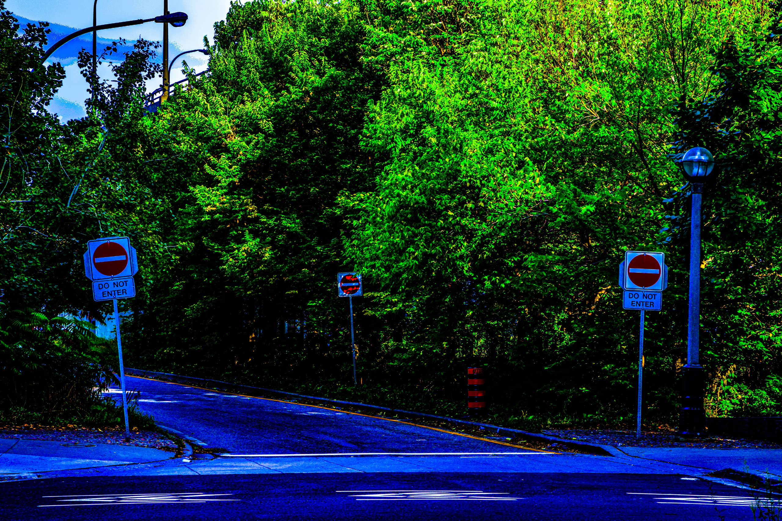 Toronto Blues. Портретный фотограф в Москве Блинова Мария