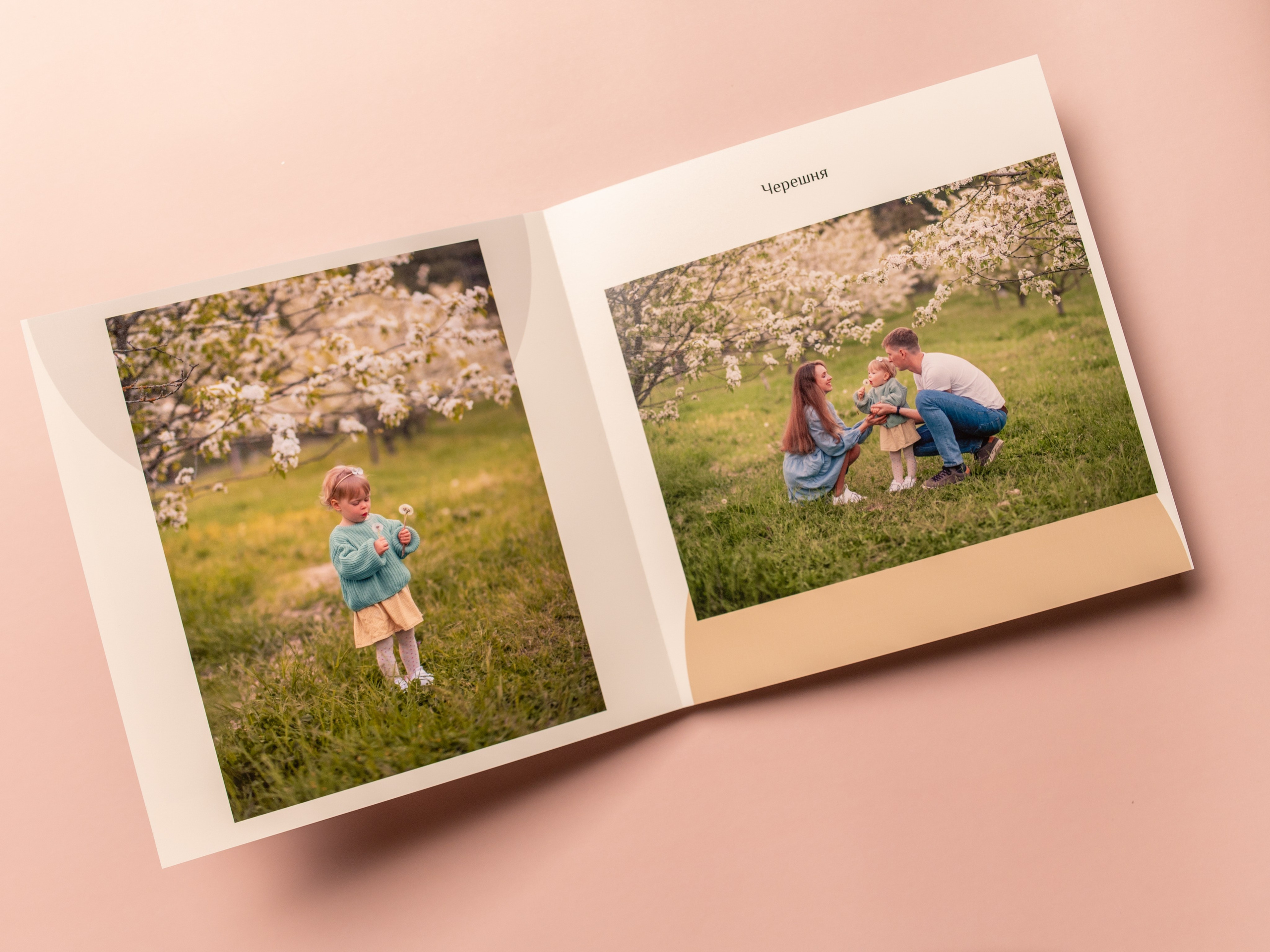 Разработка фотокниги в Севастополе, Ялте, Симферополе, Евпатории. Семейный фотограф в Севастополе и Крыму Александра Погребняк