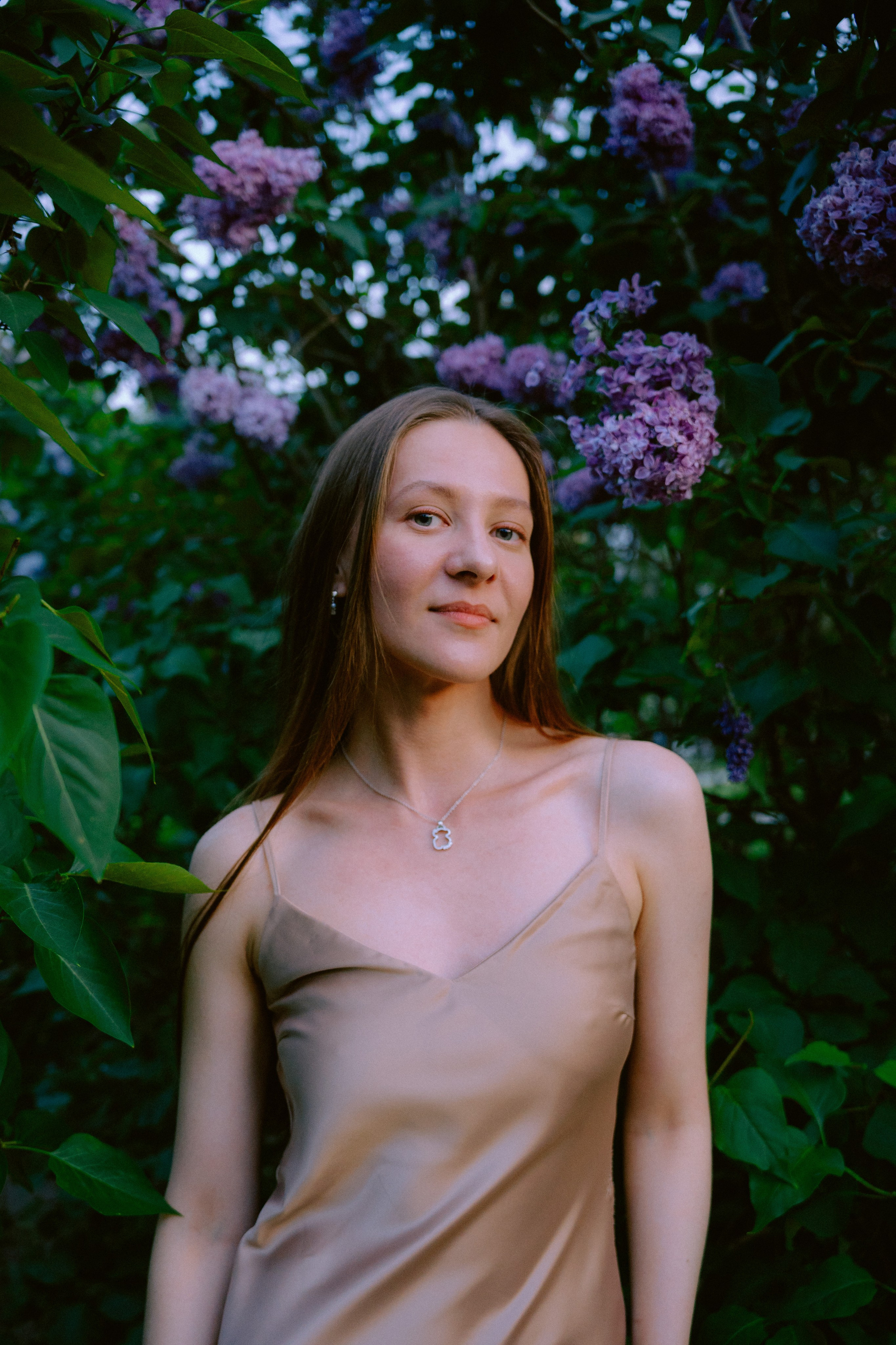 Сиреневый сад. Фотограф Москва