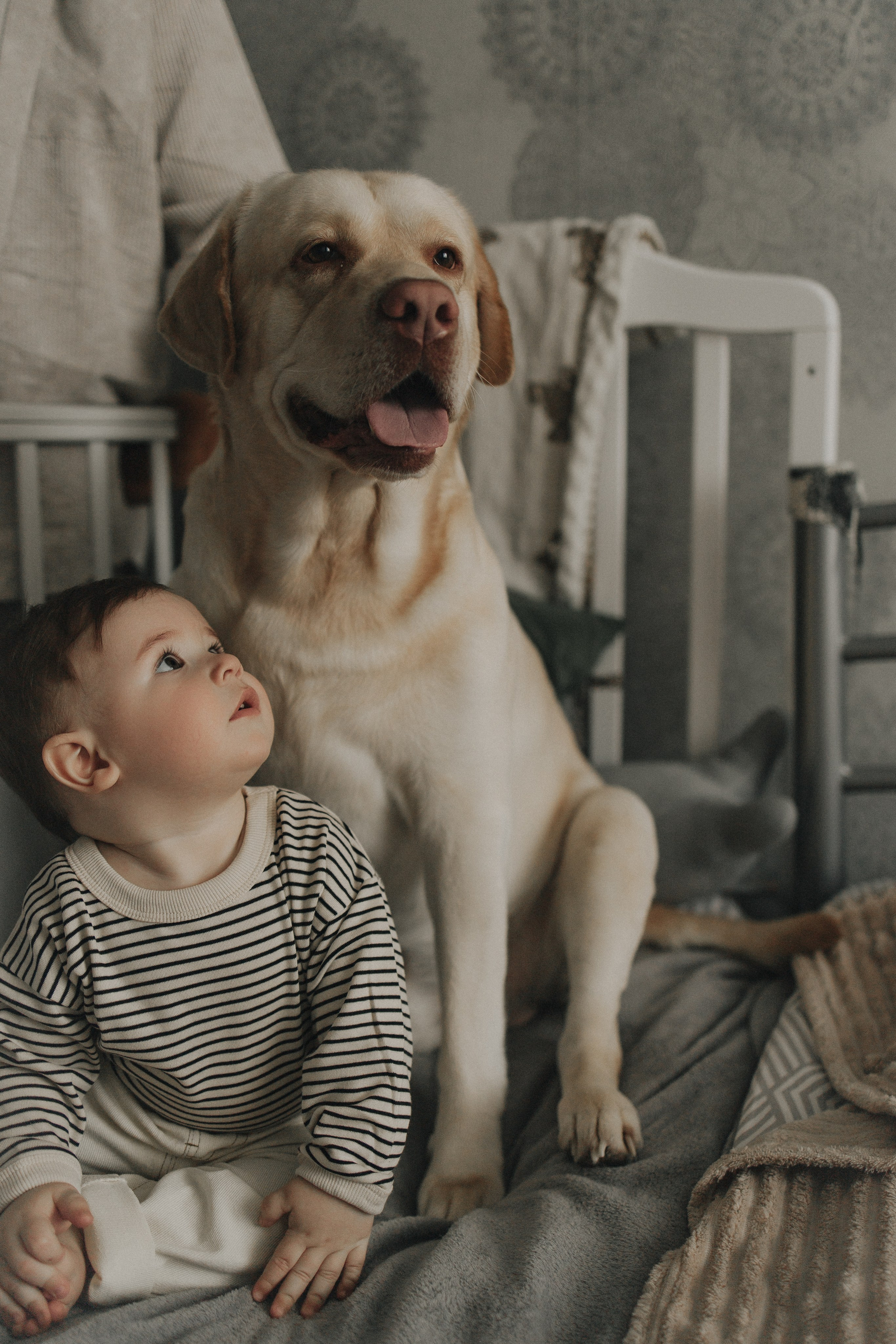 Год счастливых дней с тобой. Семейный фотограф Донецк