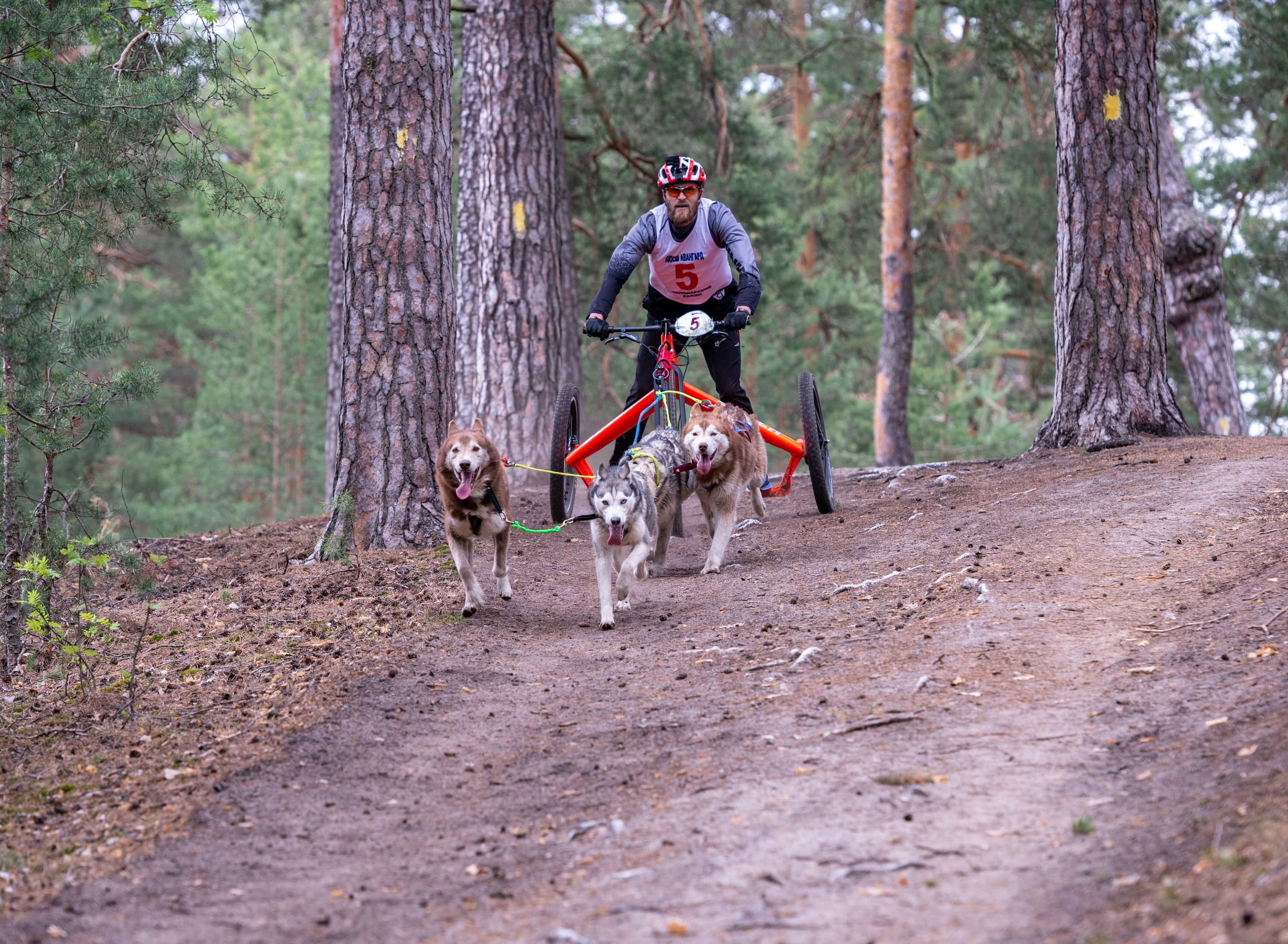 Репортажный фотограф Москва. Спортивный и репортажный фотограф Дмитрий Литунов Москва