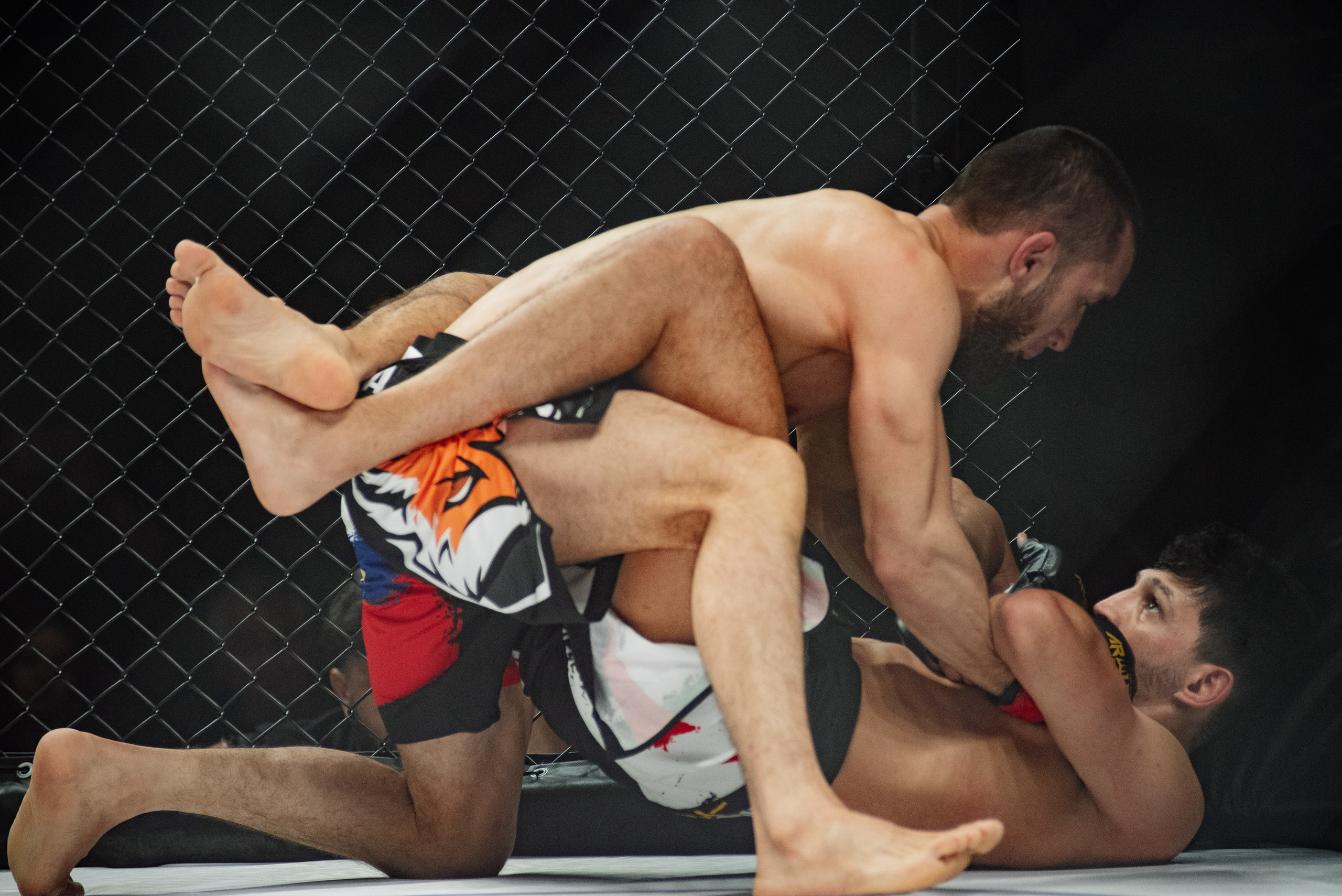 Miroslava Fight