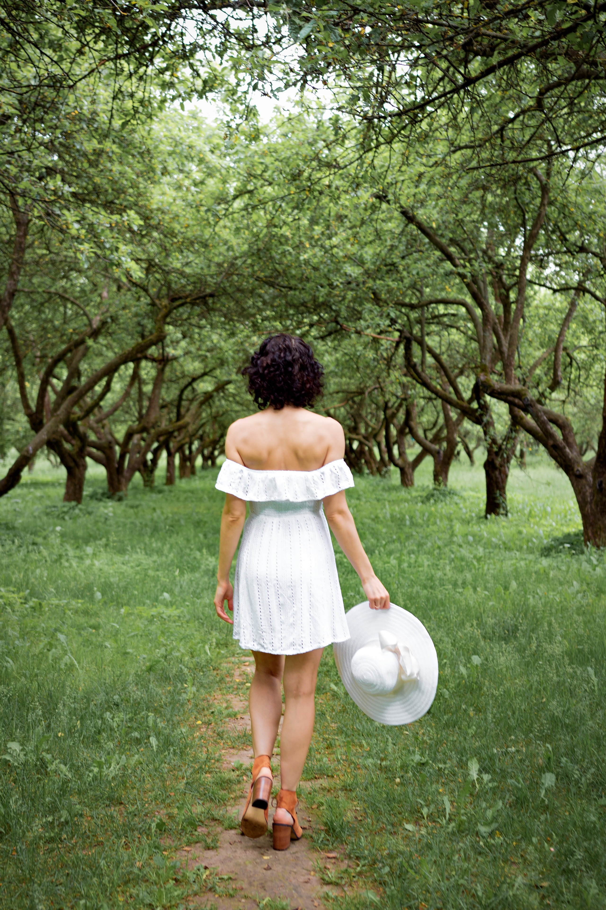 Зелёная симфония