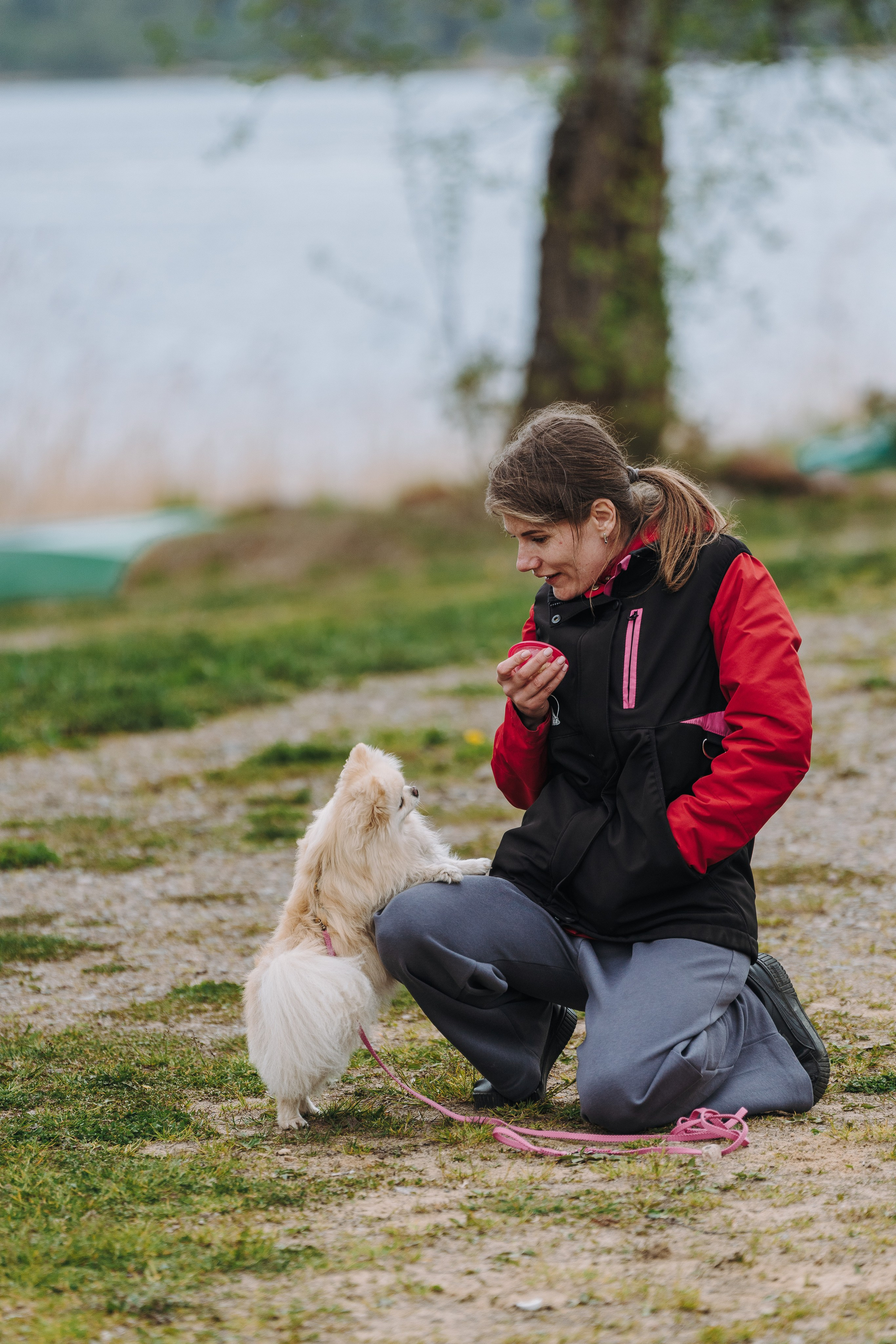 Соревнования по ноузворку в Лосево. Фотограф анималист в Спб недорого Олеся Майорова