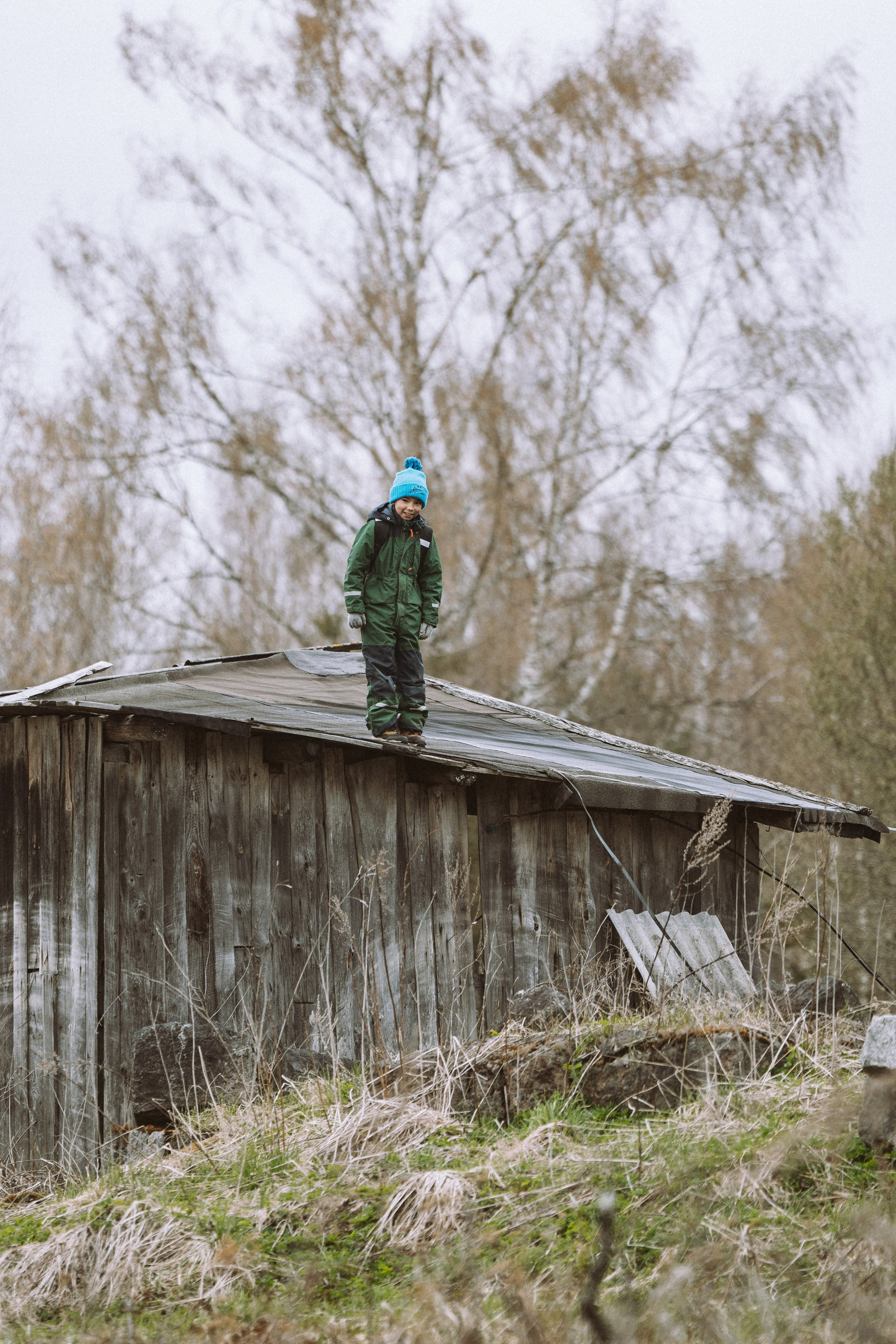 Дог трекинг к финскому хутору. Фотограф анималист в Спб недорого Олеся Майорова