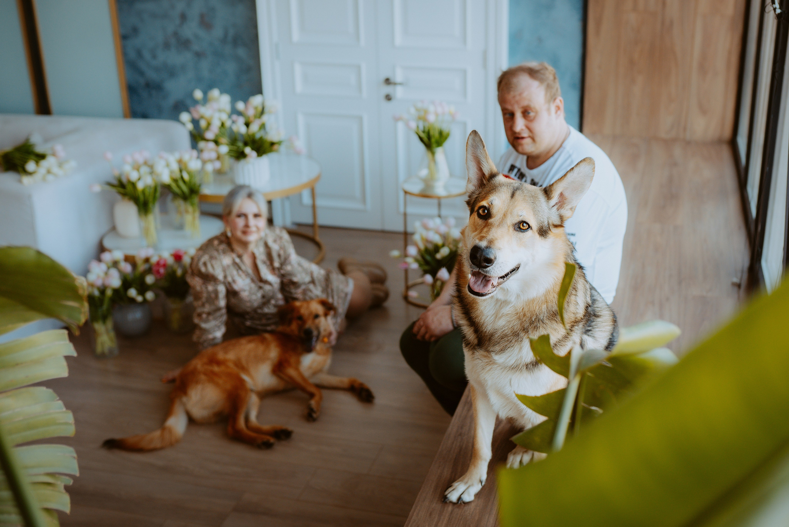 Рэй, Кузя, Ольга и Александр. Фотограф анималист в Спб недорого Олеся Майорова