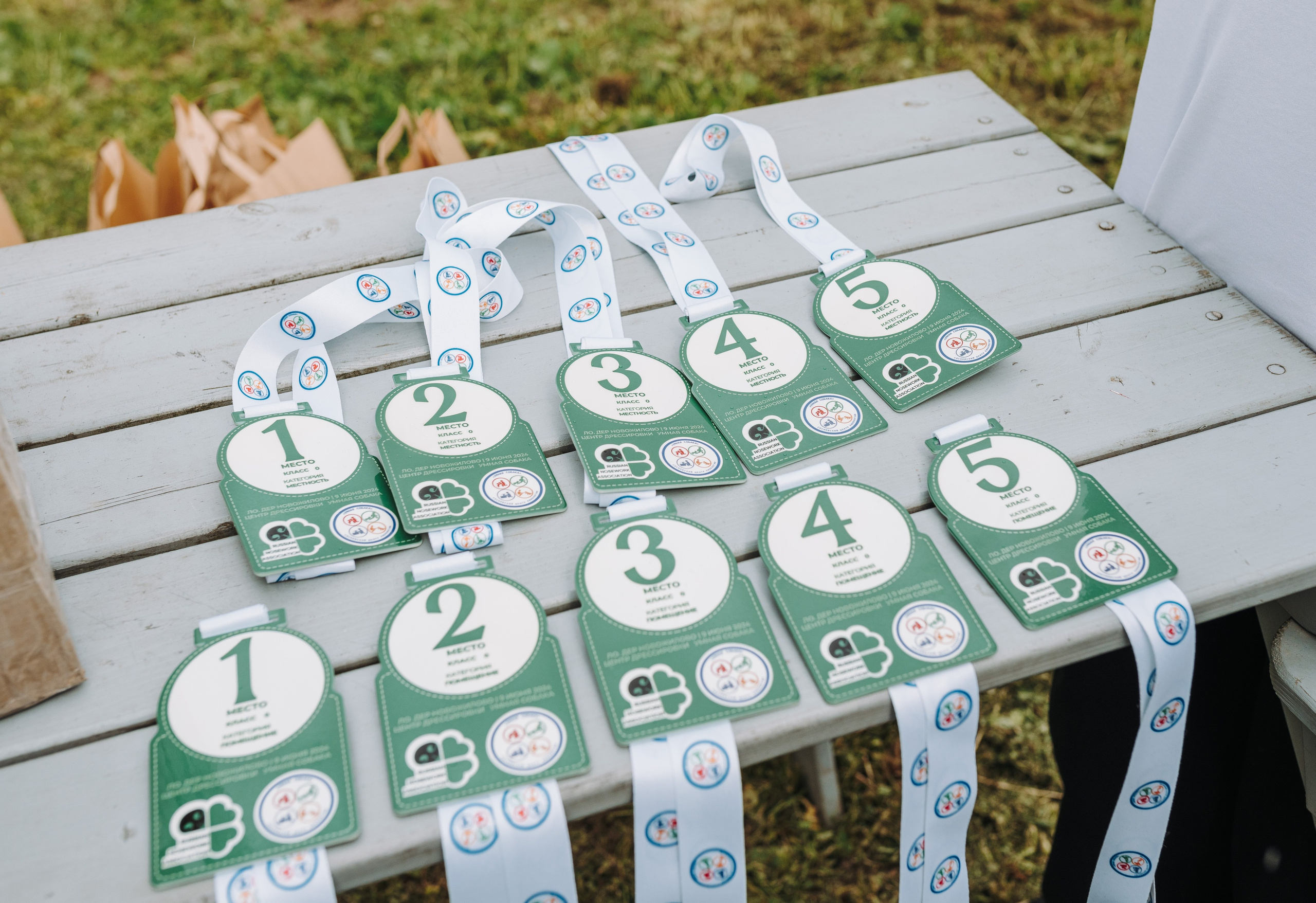 Соревнования по ноузворку. Фотограф анималист в Спб недорого Олеся Майорова