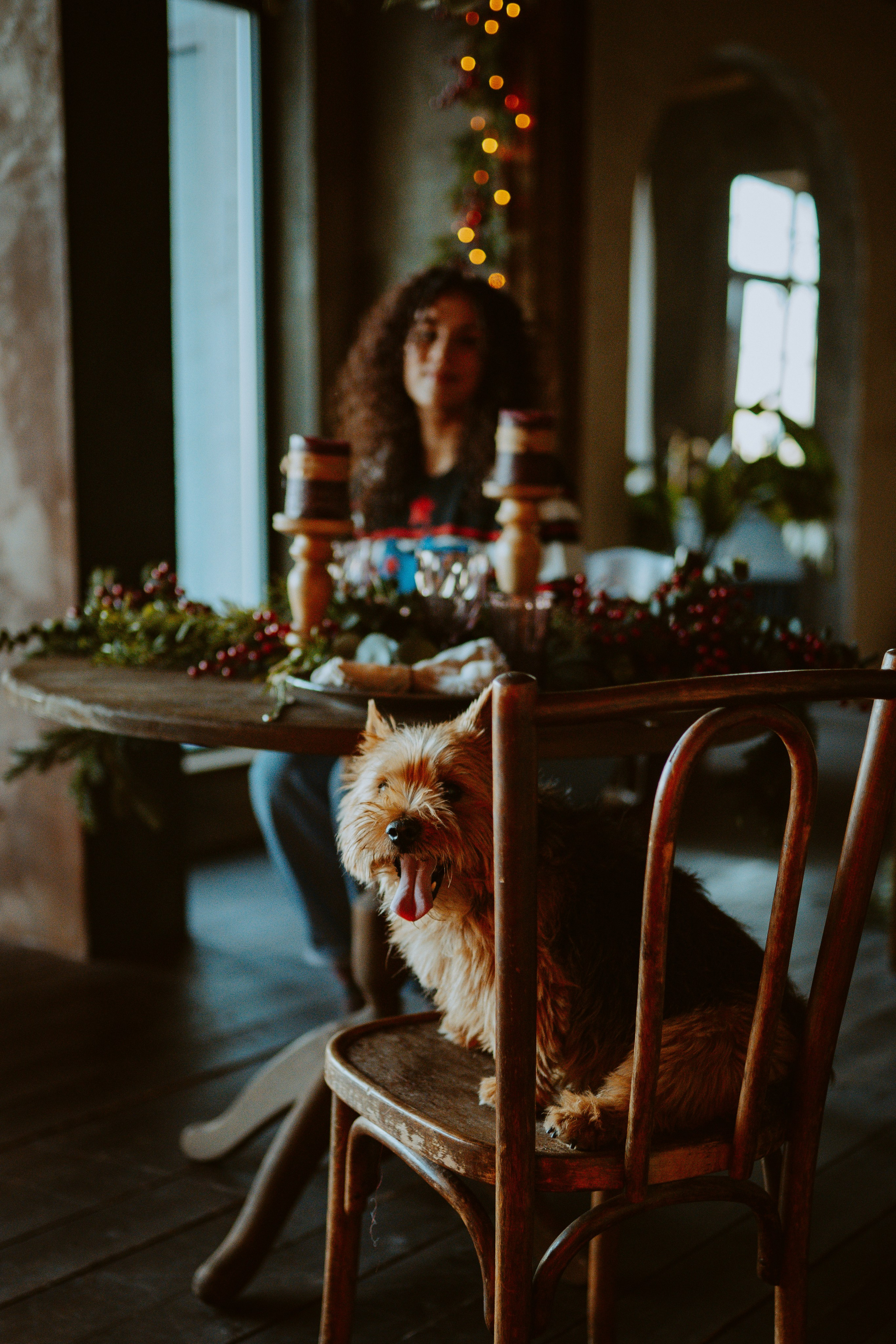 Фотосессия с собакой в студии. Фотограф анималист в Спб недорого Олеся Майорова