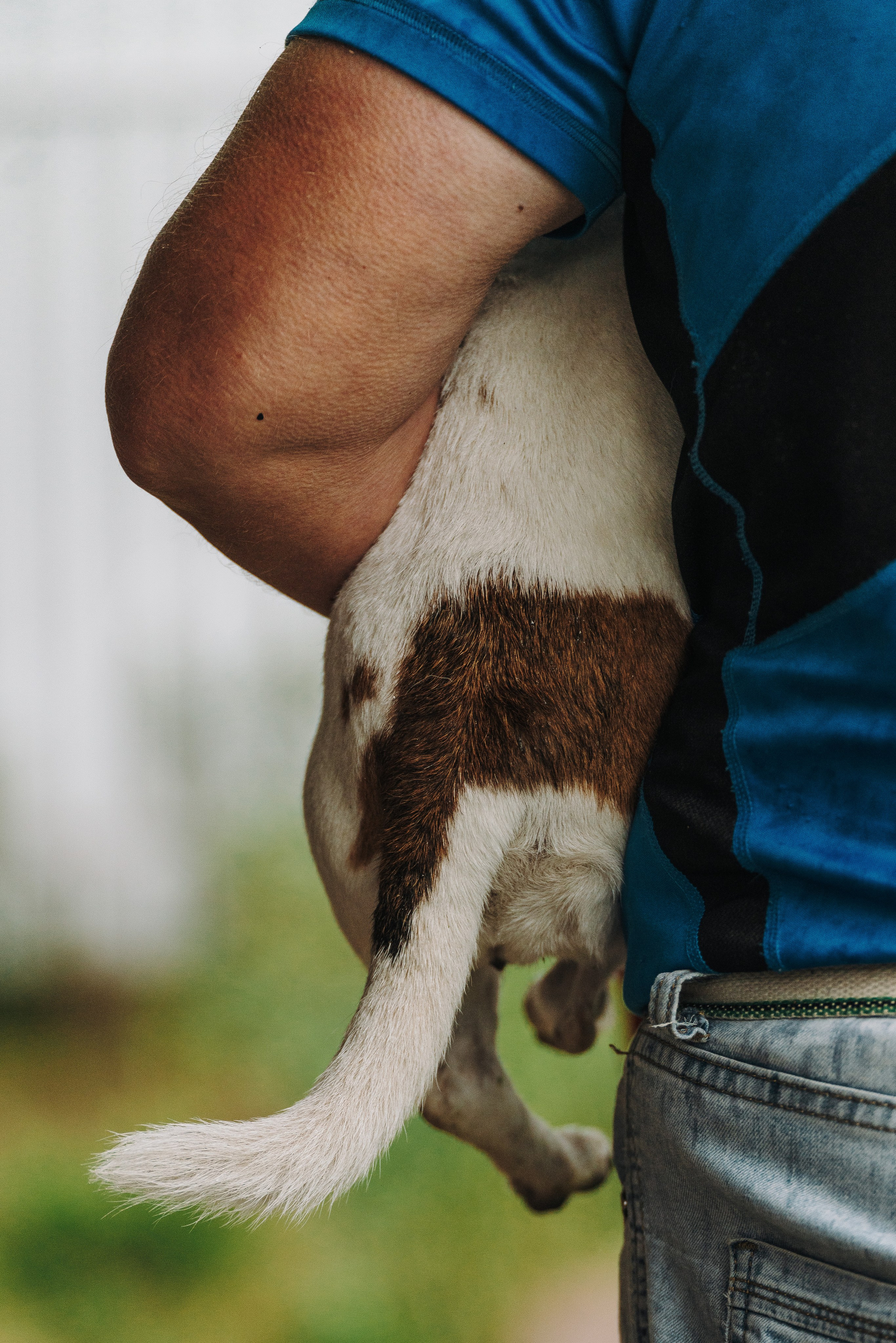 Соревнования по ноузворку в Новожилово. Фотограф анималист в Спб недорого Олеся Майорова