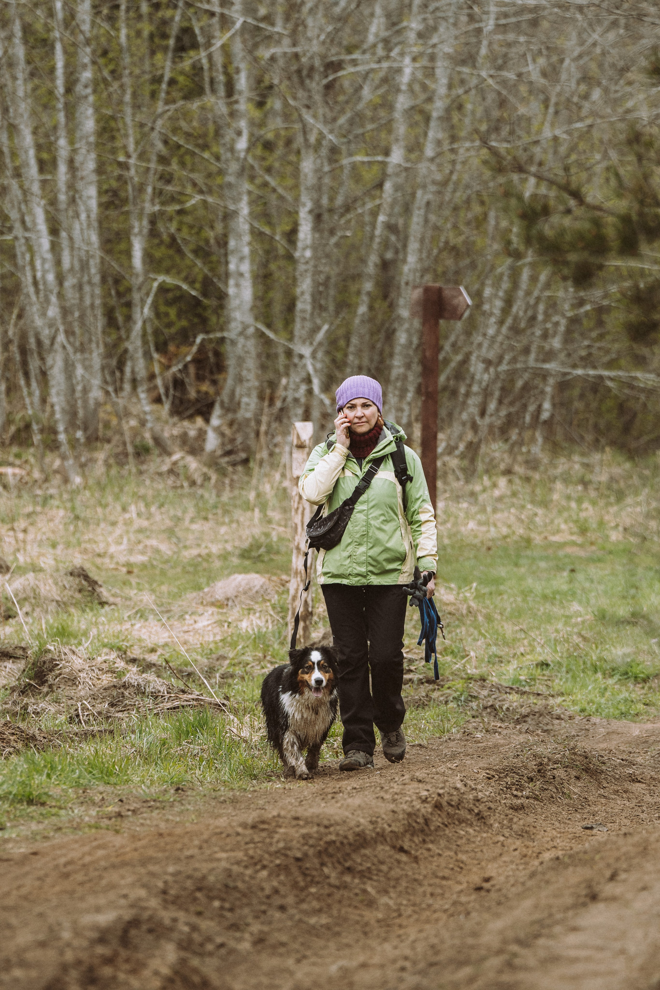 Дог трекинг к финскому хутору. Фотограф анималист в Спб недорого Олеся Майорова