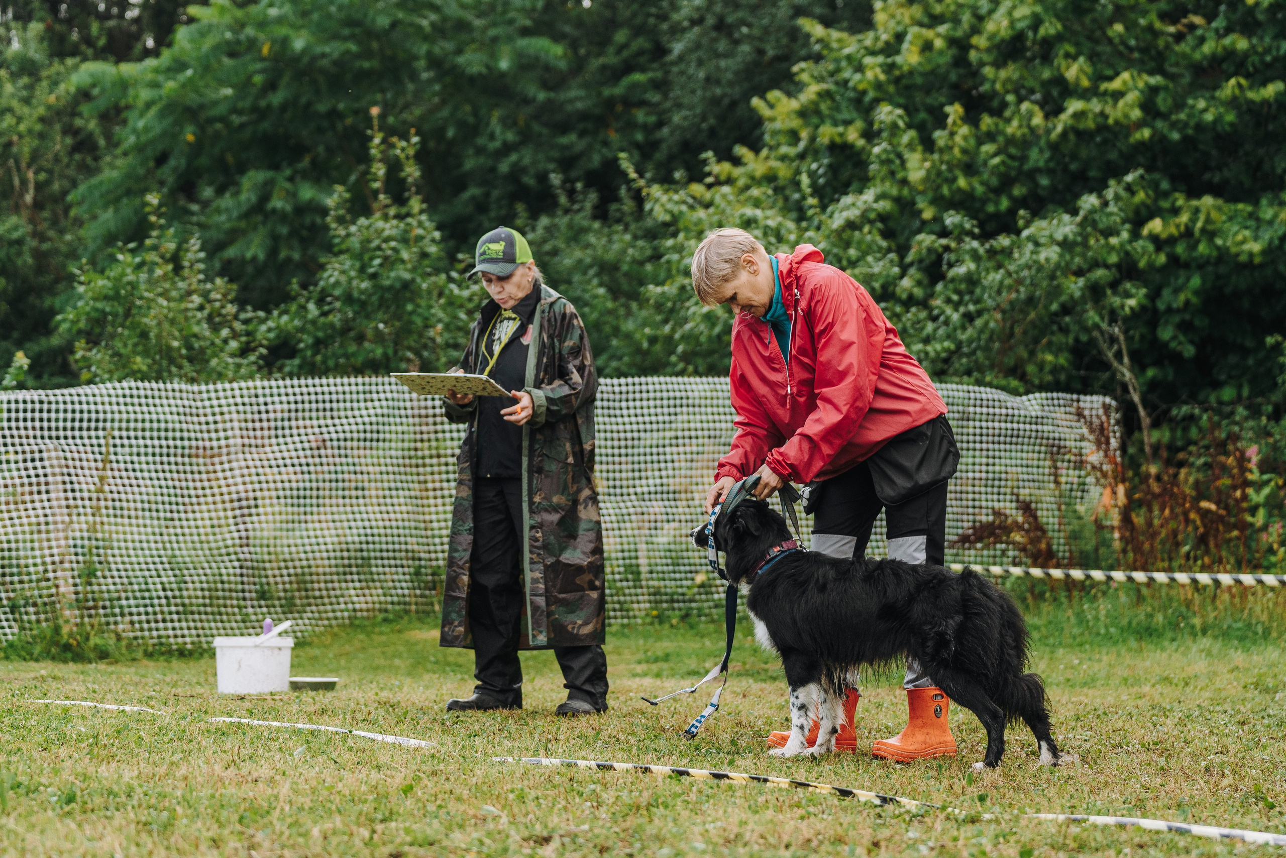 Соревнования по ноузворку в Новожилово. Фотограф анималист в Спб недорого Олеся Майорова