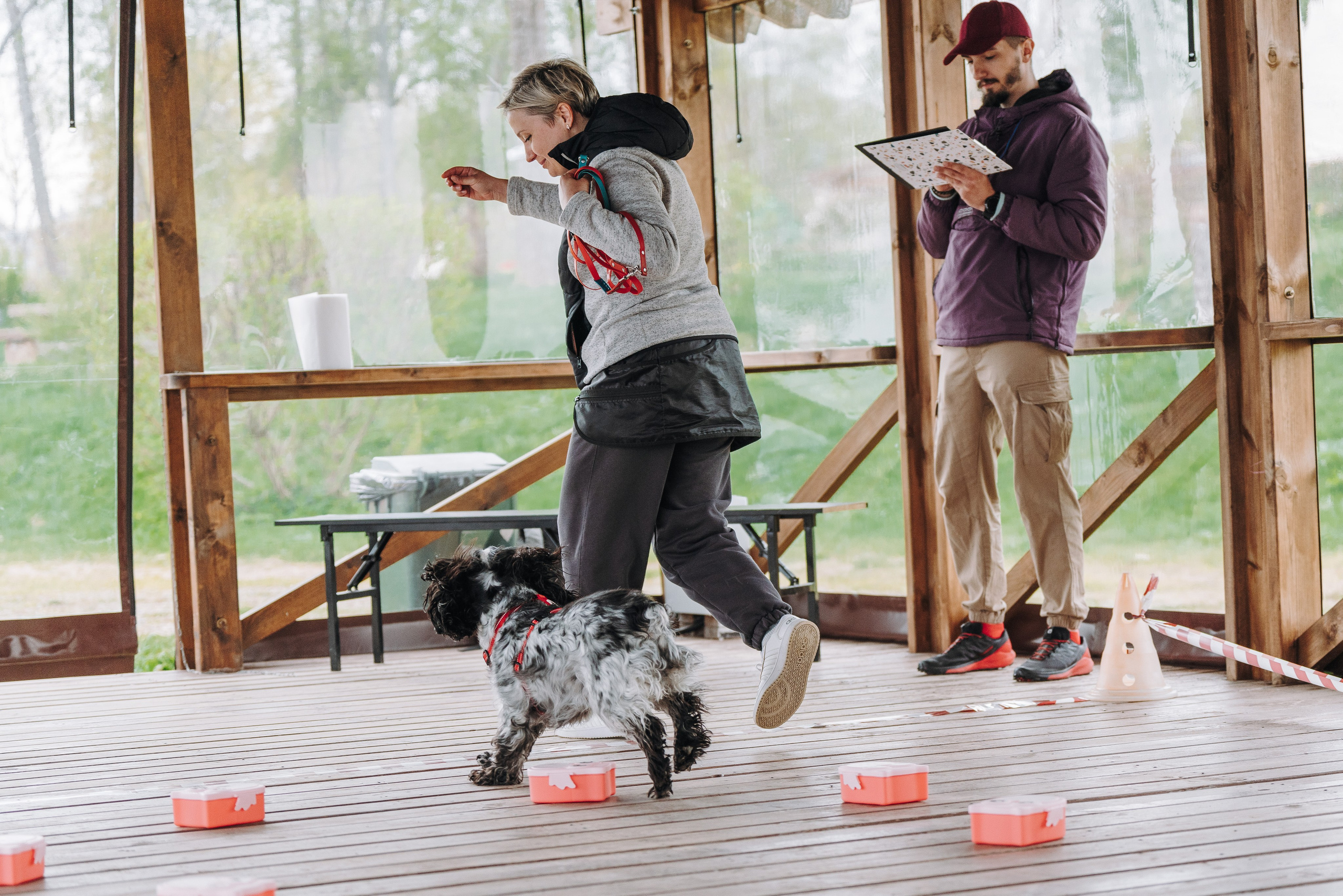 Соревнования по ноузворку в Лосево. Фотограф анималист в Спб недорого Олеся Майорова