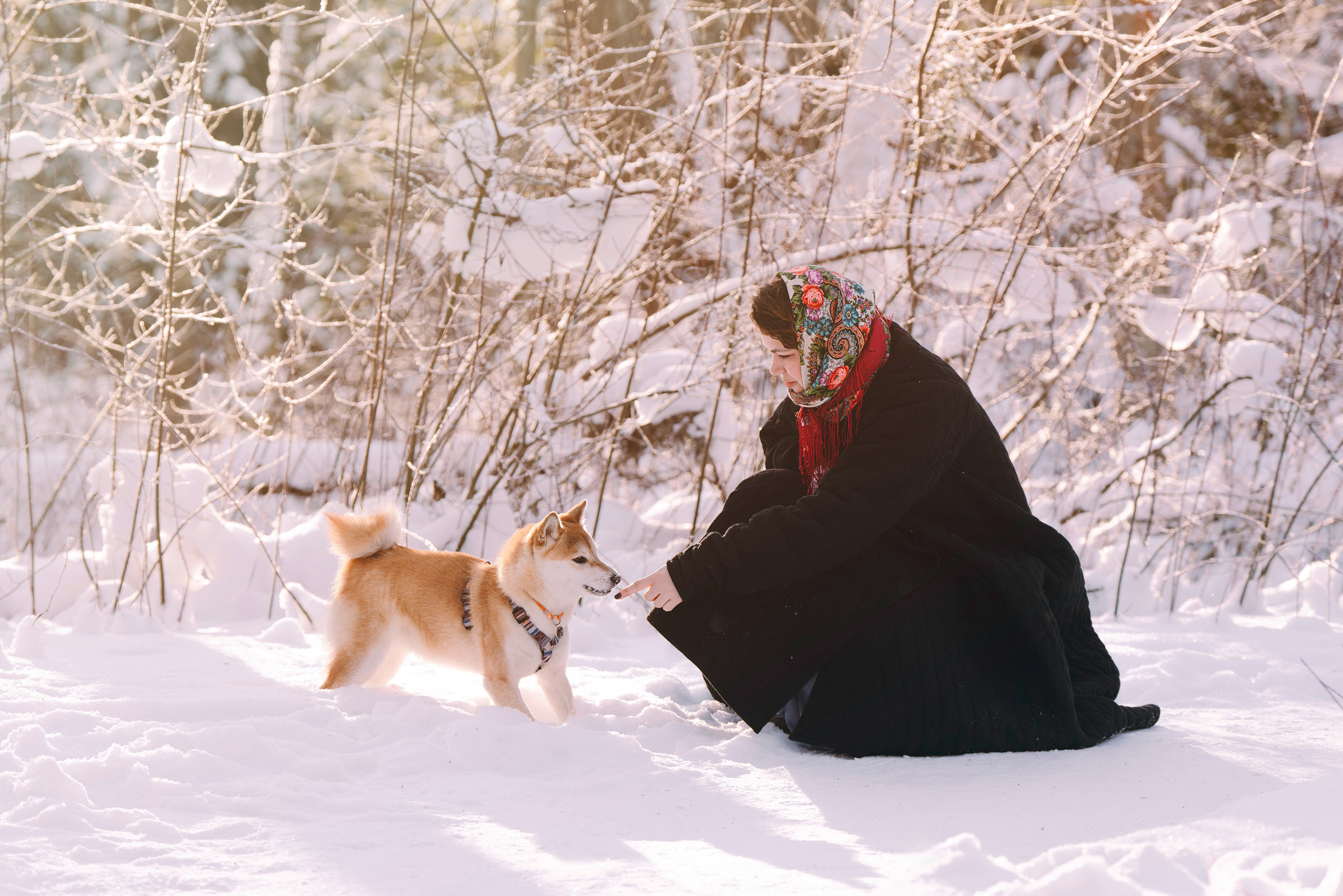 Каори, Анна и Антон. Фотограф анималист в Спб недорого Олеся Майорова