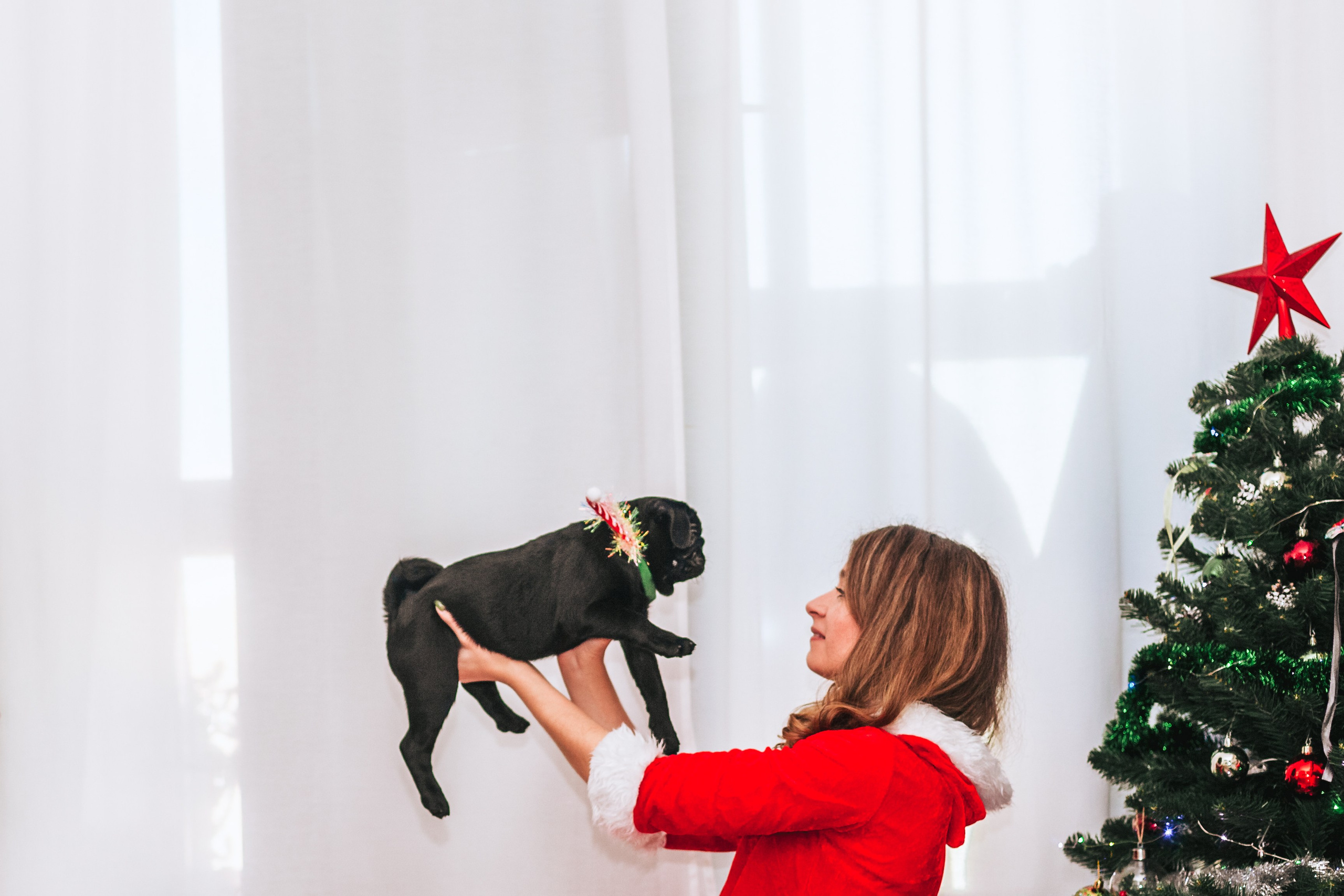 Домашняя фотосессия Оли и двух ее мопсов. Фотограф-анималист Татьяна Степанова