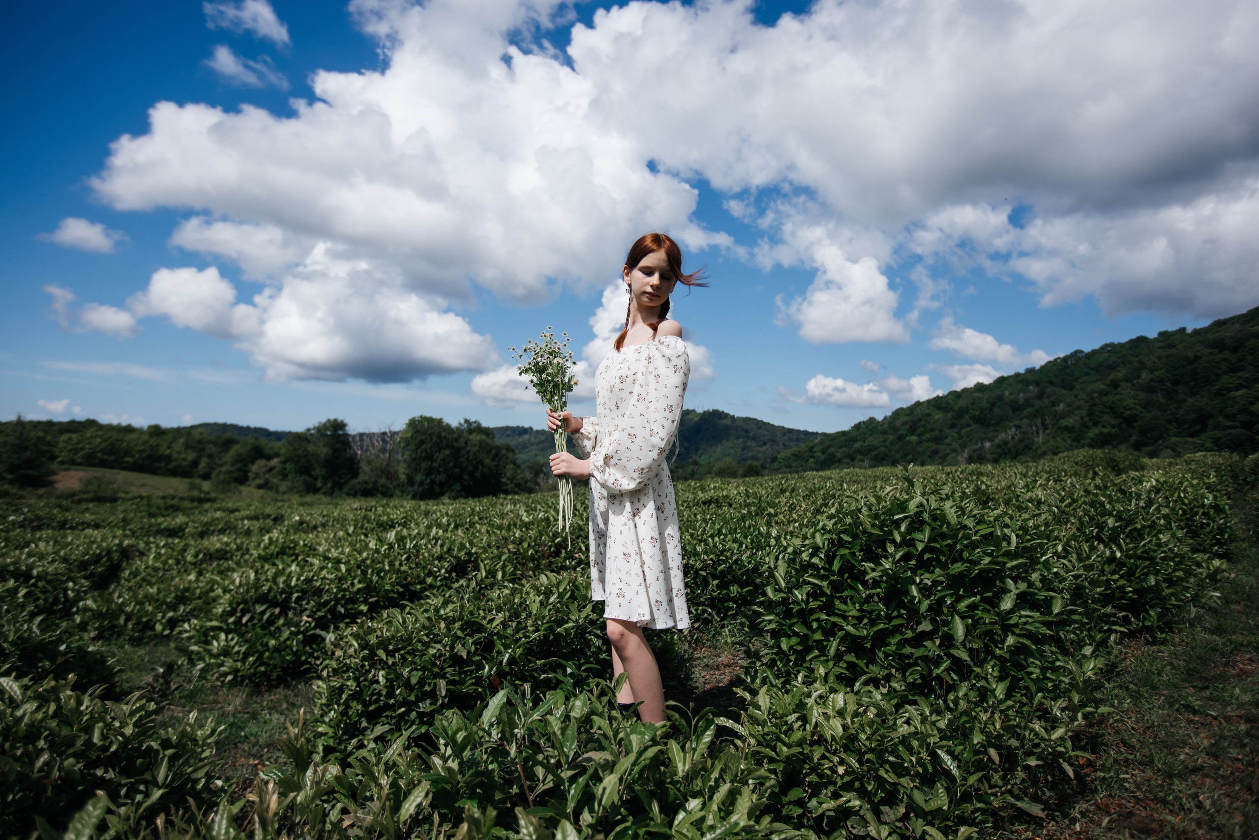 Tea plantation. Efimova Model Agency