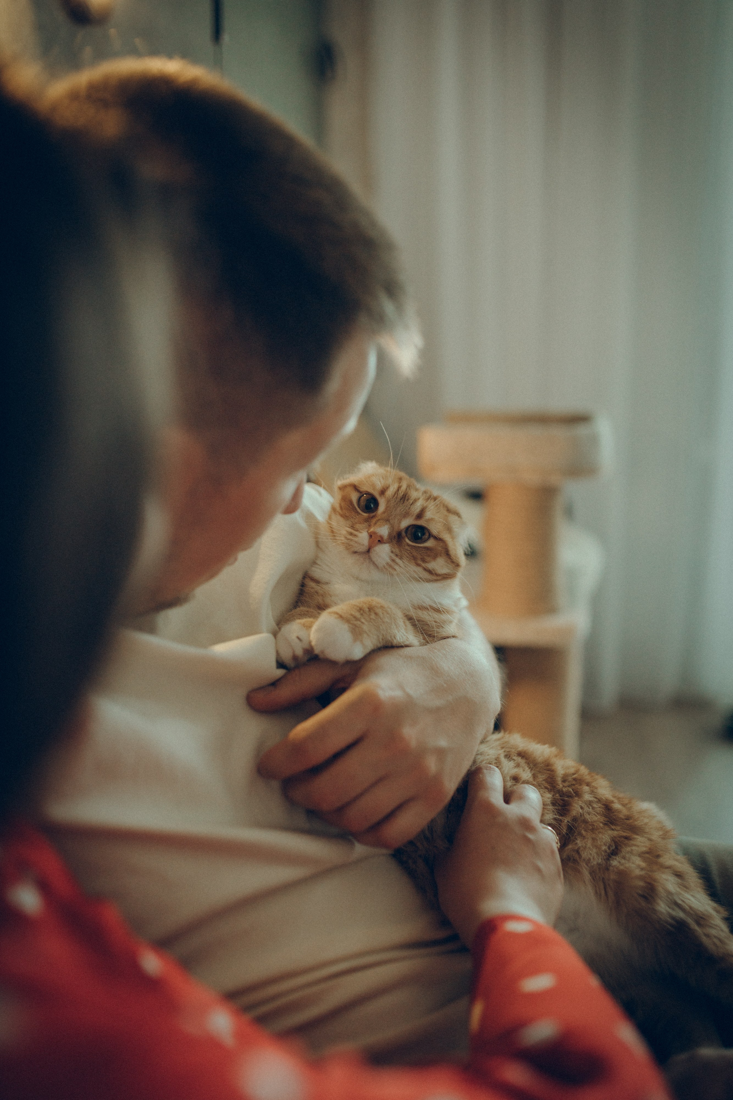 Аня & Кирилл. Семейный фотограф и фотограф на роды в Ростове-на-Дону Мухина Виктория