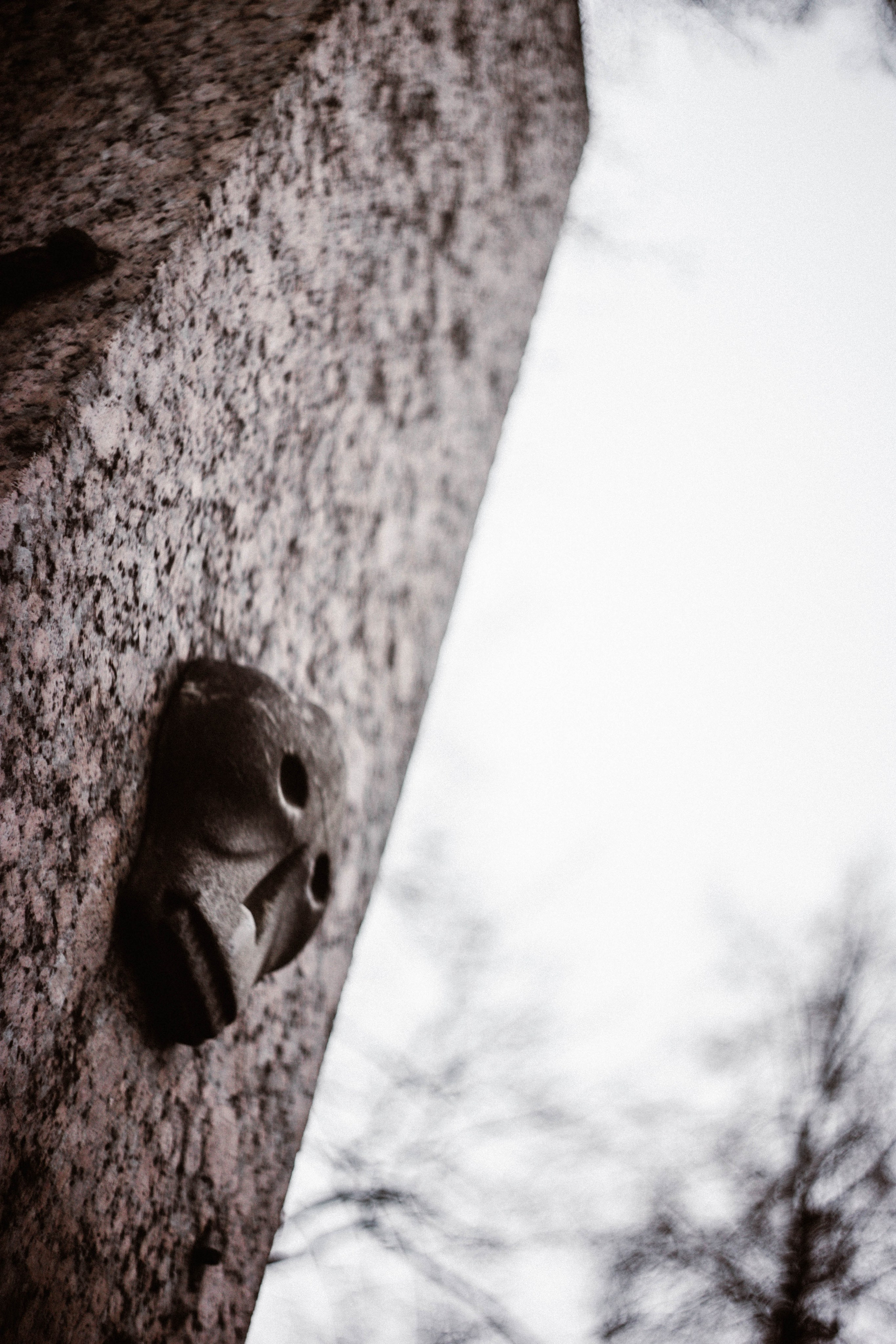 Питер / 24. Фотограф в Нижнем Новгороде