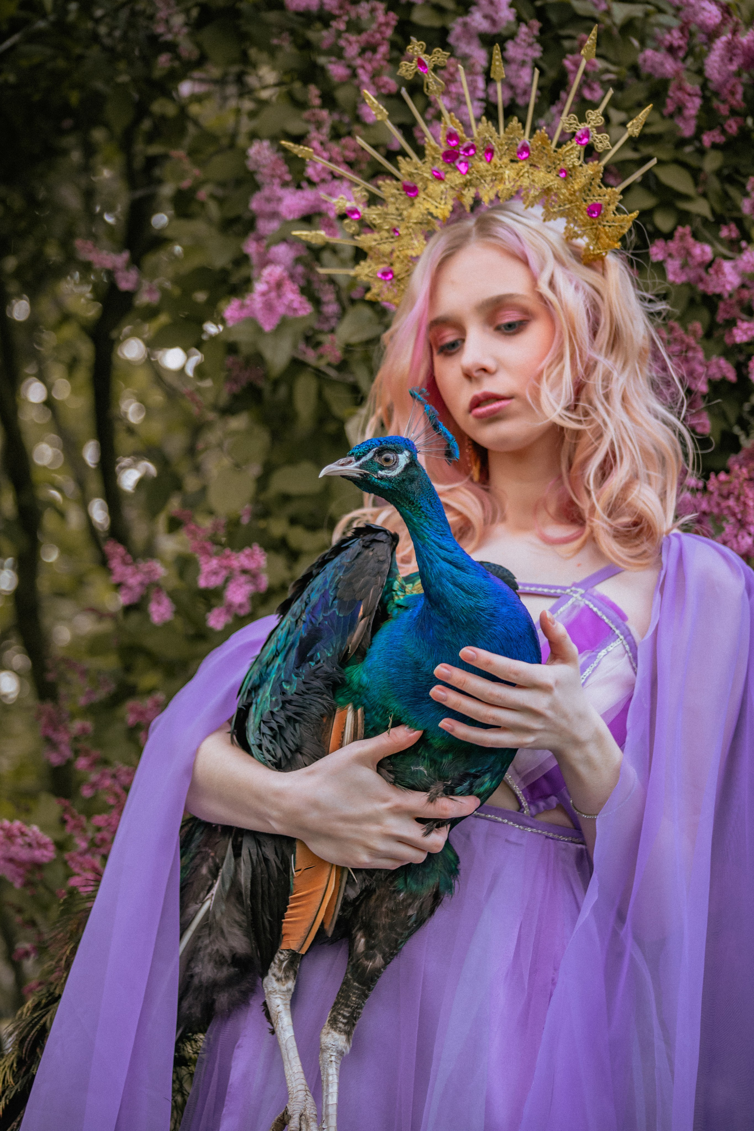 Павлин. Elena Sova — семейный и женский фотограф в Санкт-Петербурге