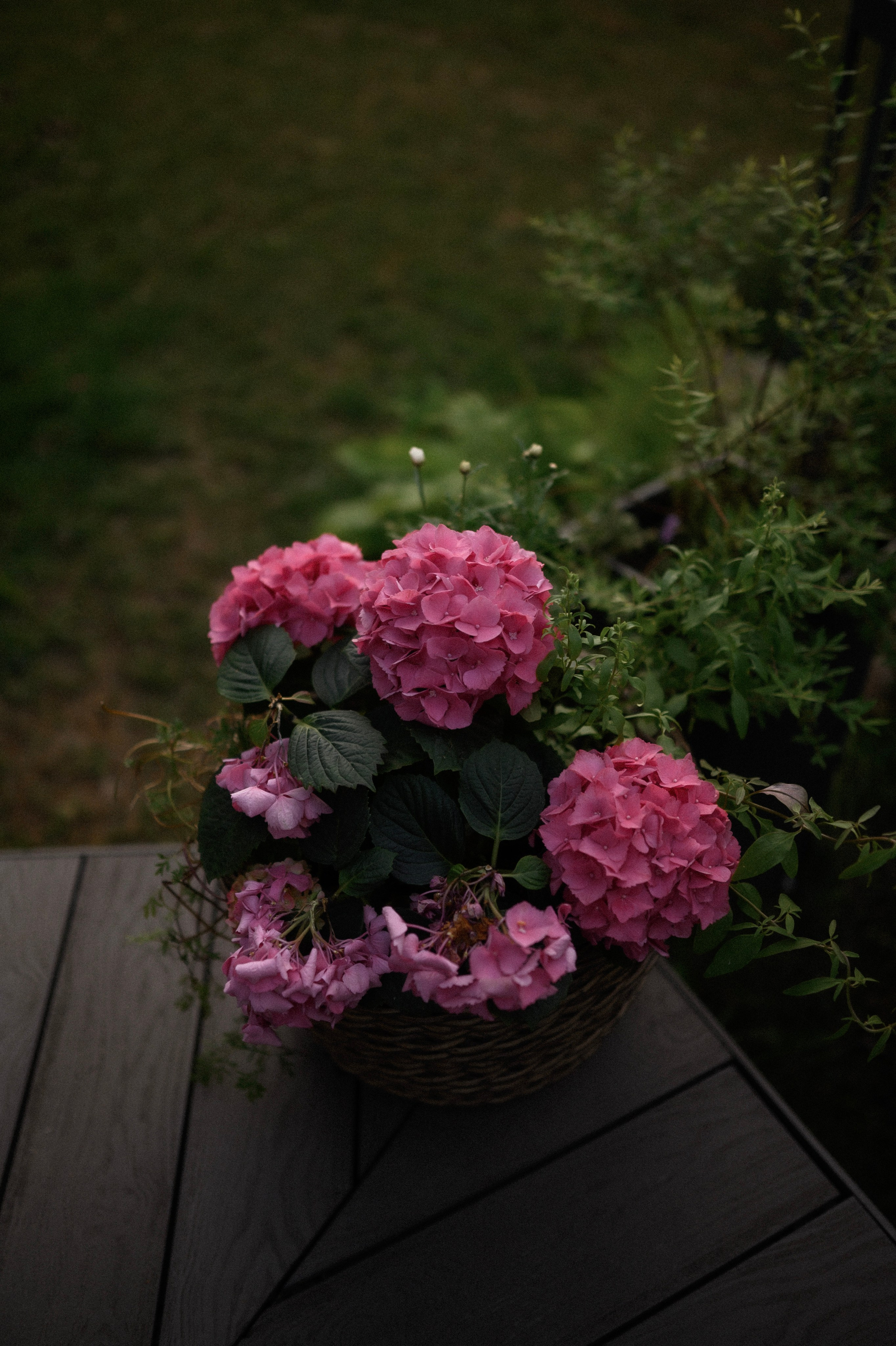 Надя и Алиса в ресторане Кедр. Семейный и свадебный lifestyle-фотограф в Москве Мария Петрова