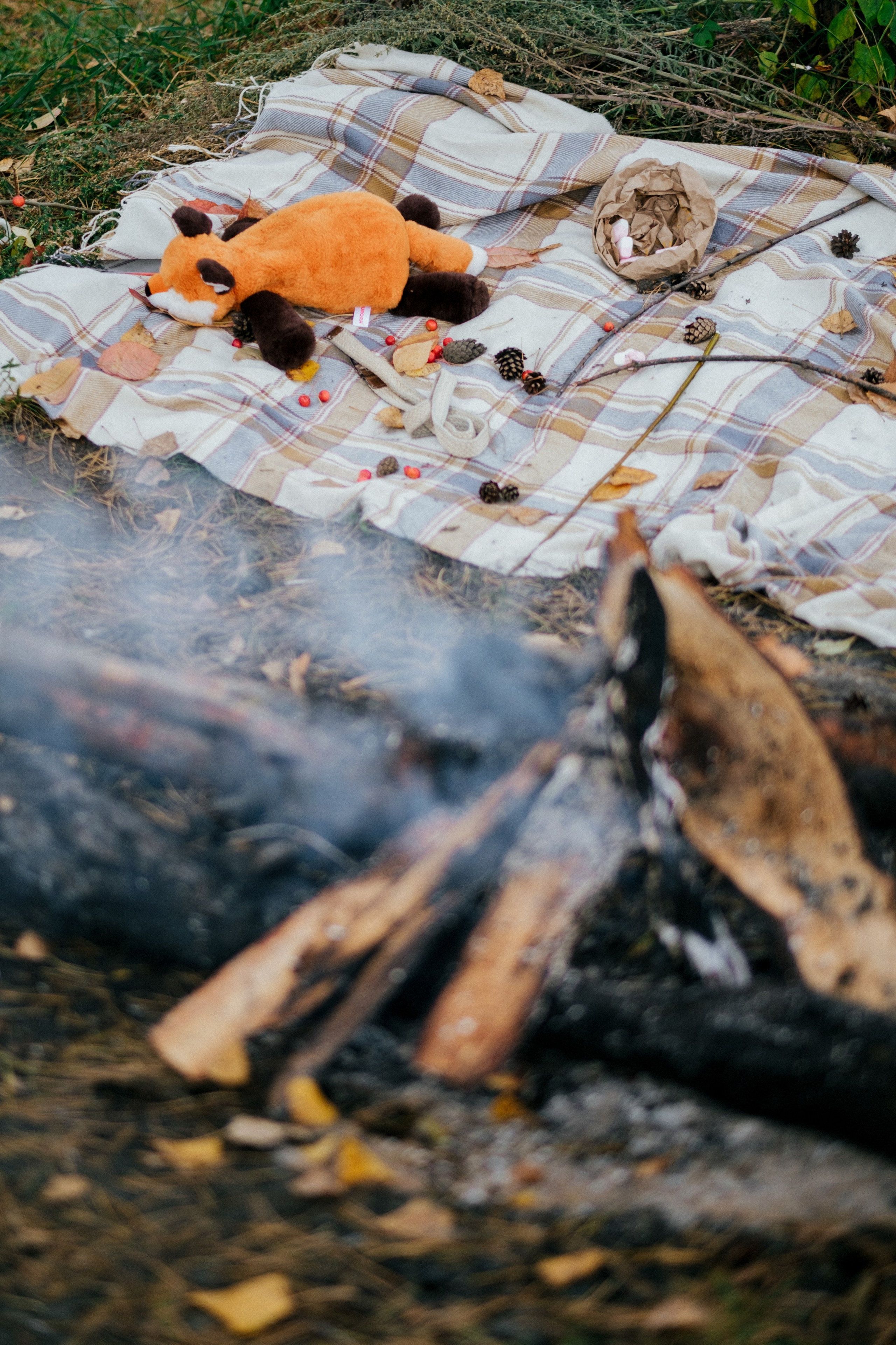 Осенний пикник. Свадебный Видеограф Фотограф в Сочи