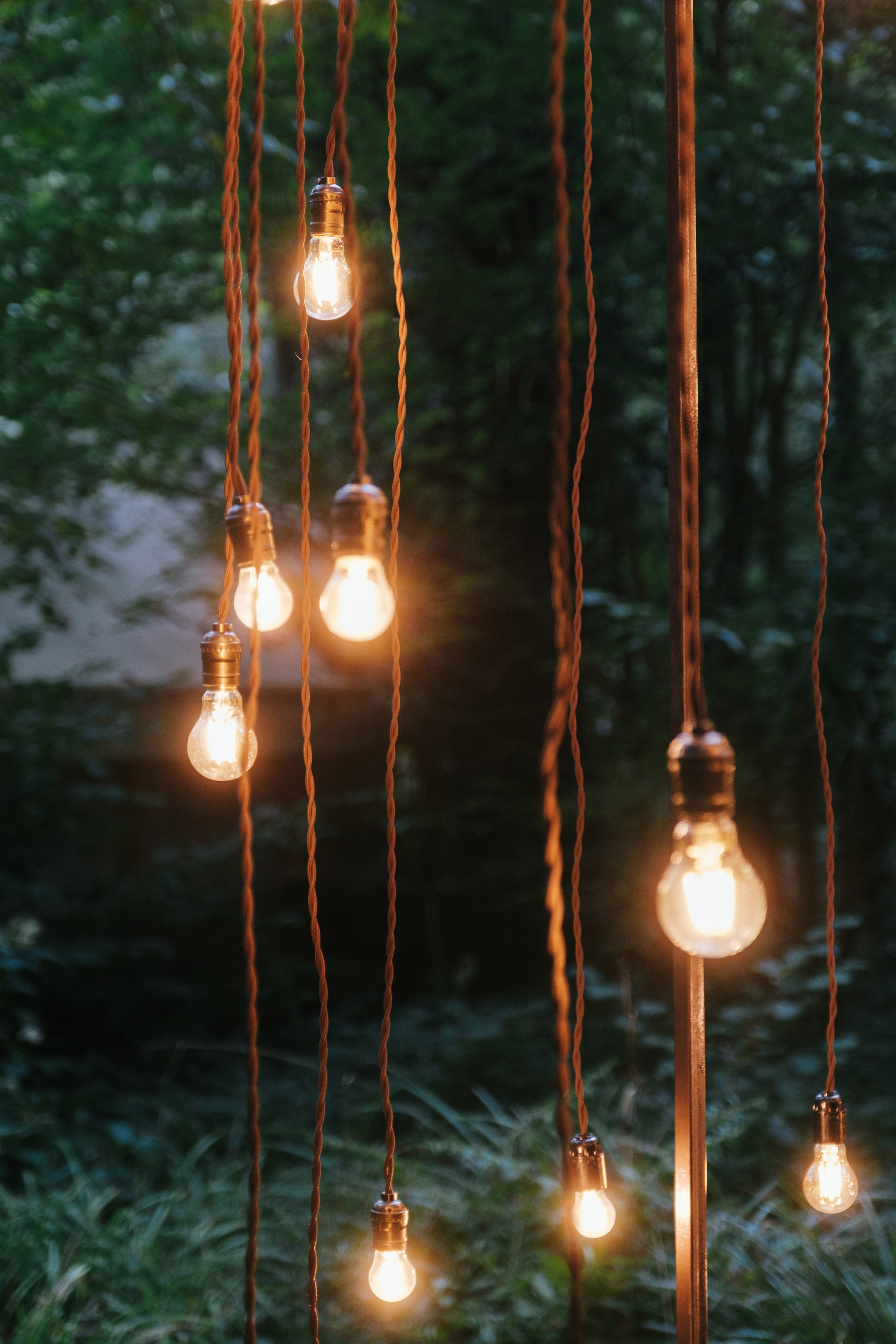 Кот и Дракон. Свадебный Видеограф Фотограф в Сочи