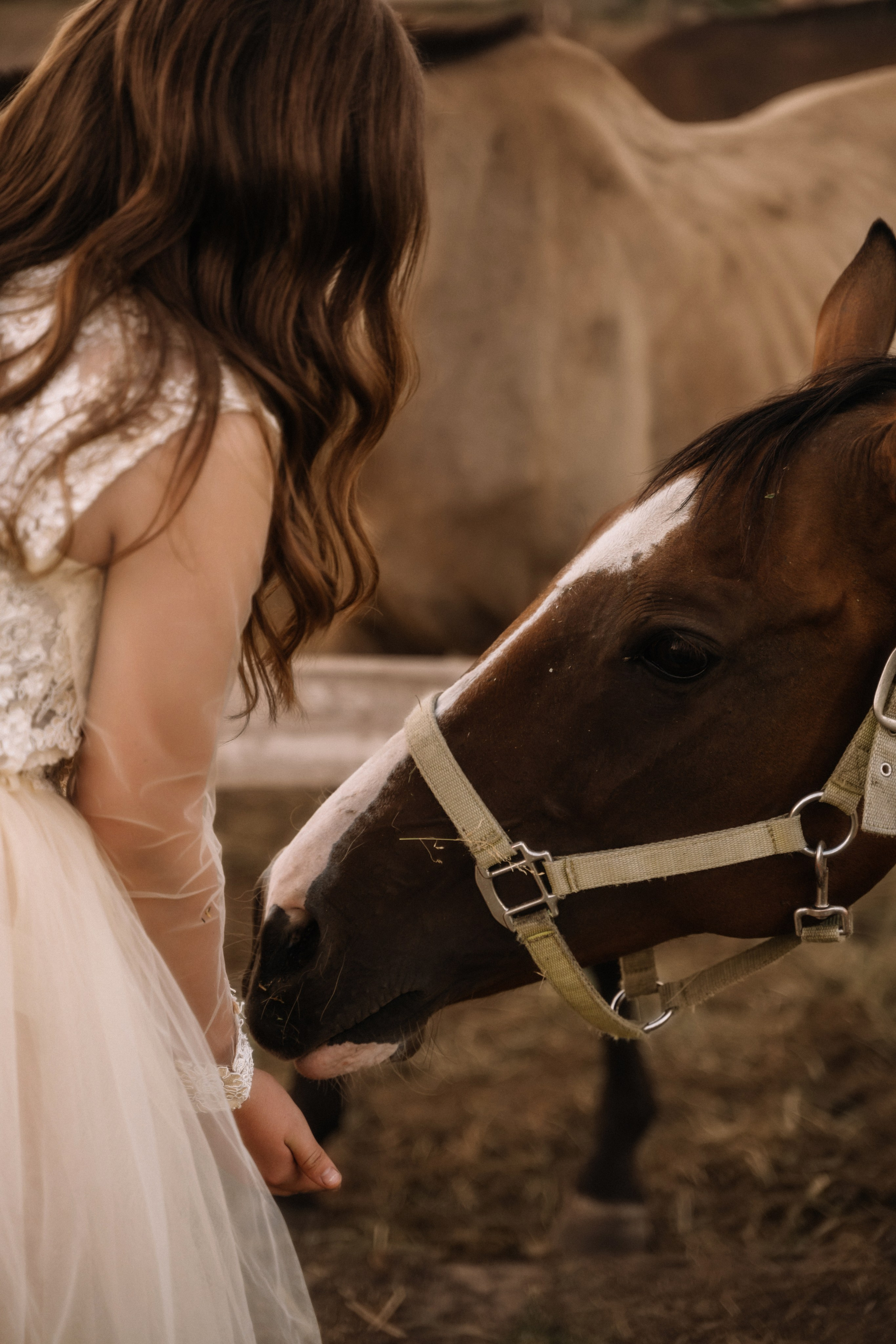 Евгения. Фотосессия с лошадьми. Семейный фотограф в Белгороде Амелина Алина