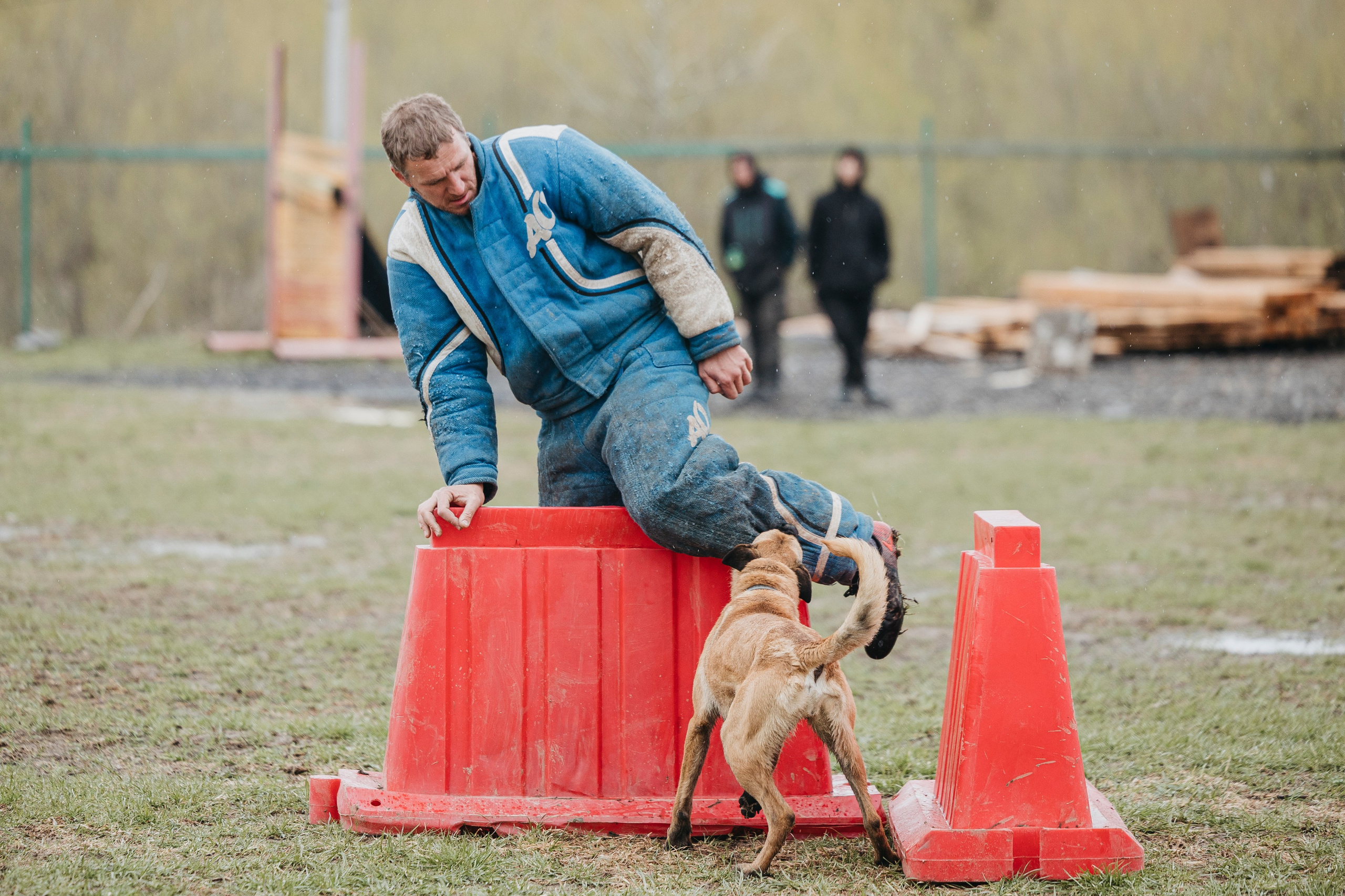 09.05.25 Вологда соревнования. Фотограф-анималист Анна Маринич
