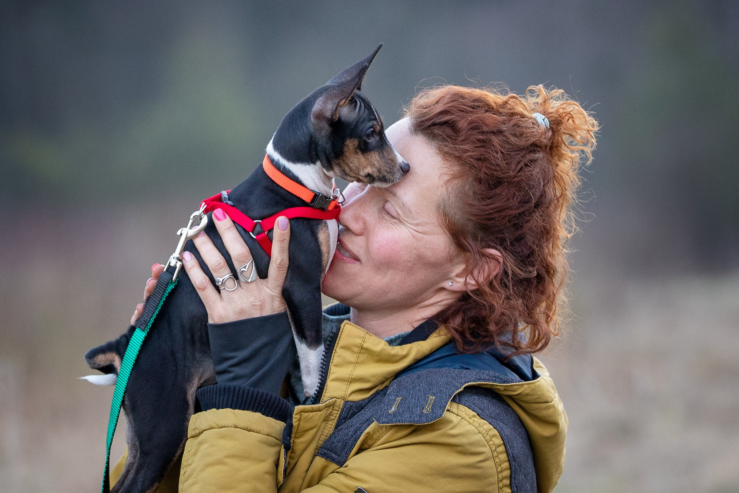 Олеся, Баста и Юна. Фотограф-анималист в Калуге Мария Шерскова