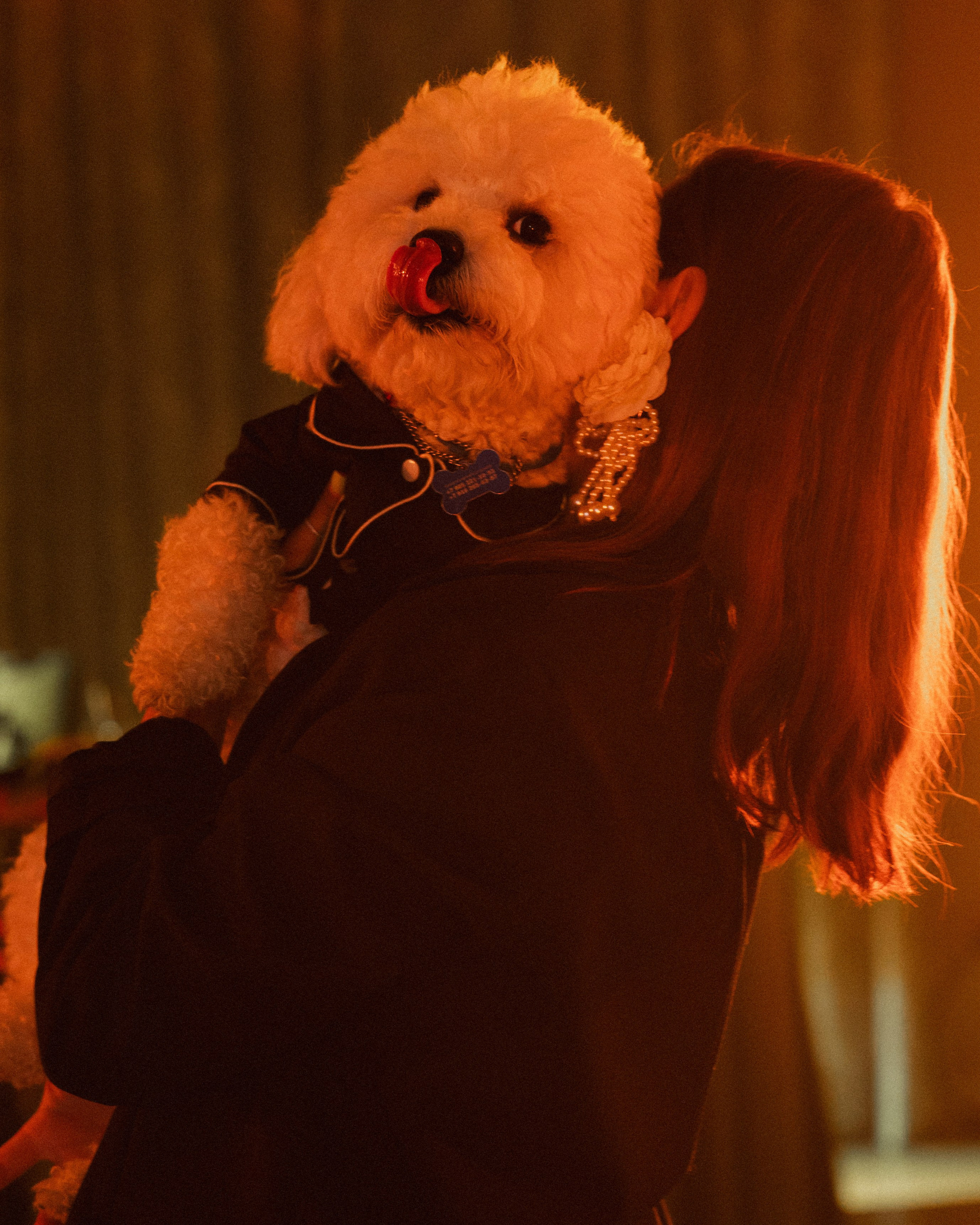 Дима и Настя. Свадебный фотограф в Рязани и Москве Евгения Жмурова