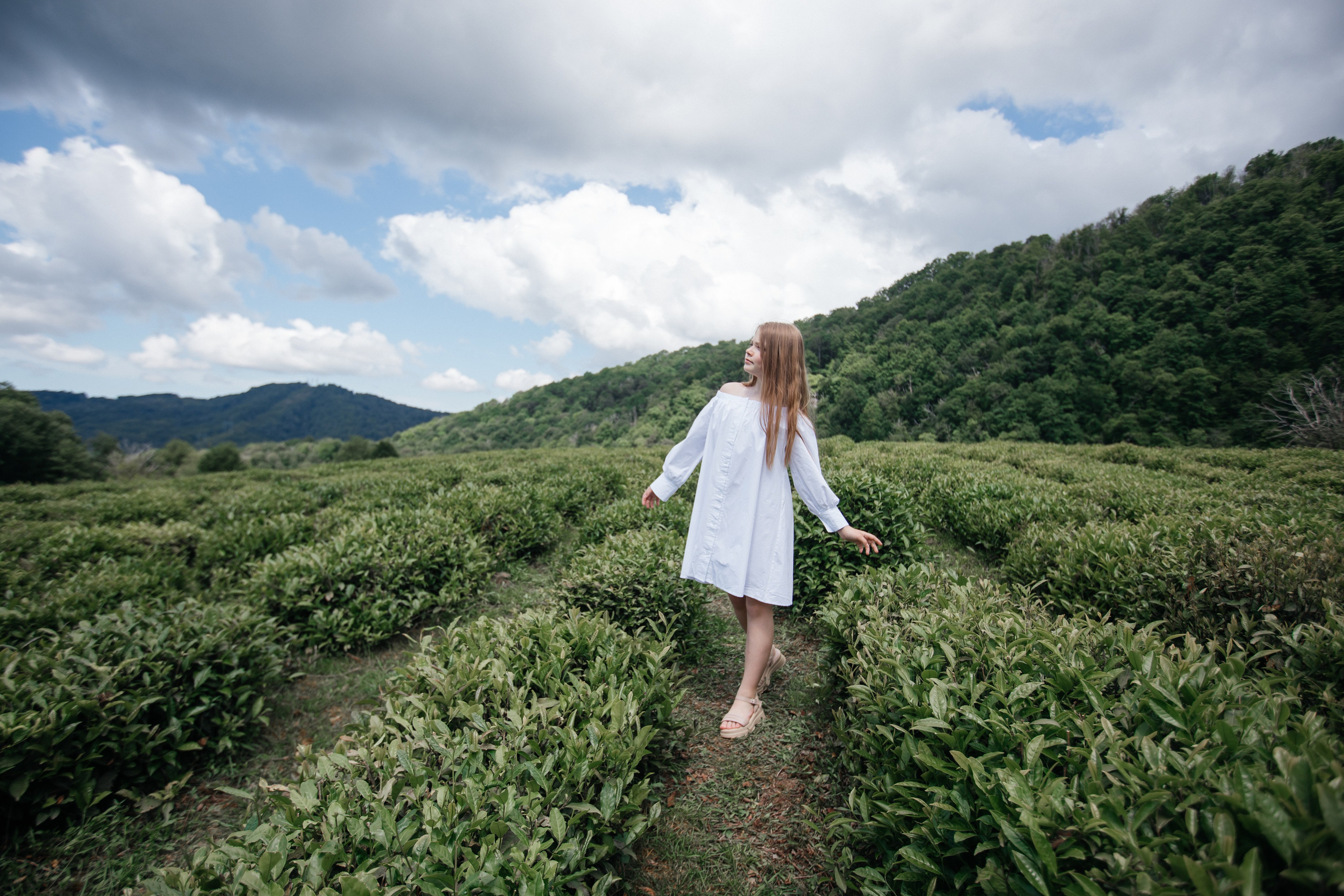 Tea plantation. Efimova Model Agency