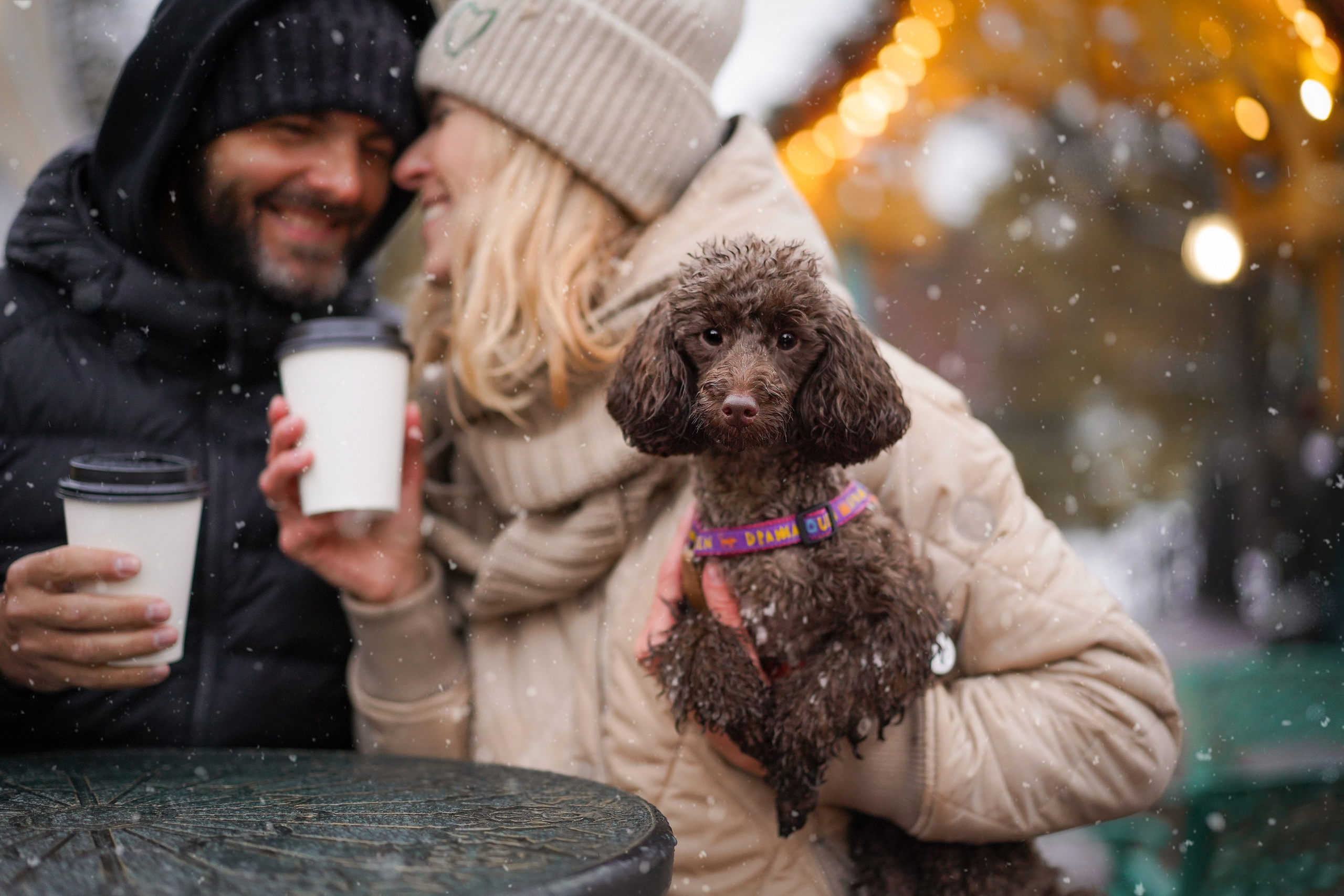 Марина Артем Мия и Хлоя. Фотограф-анималист в Санкт-Петербурге Яна Мартынова