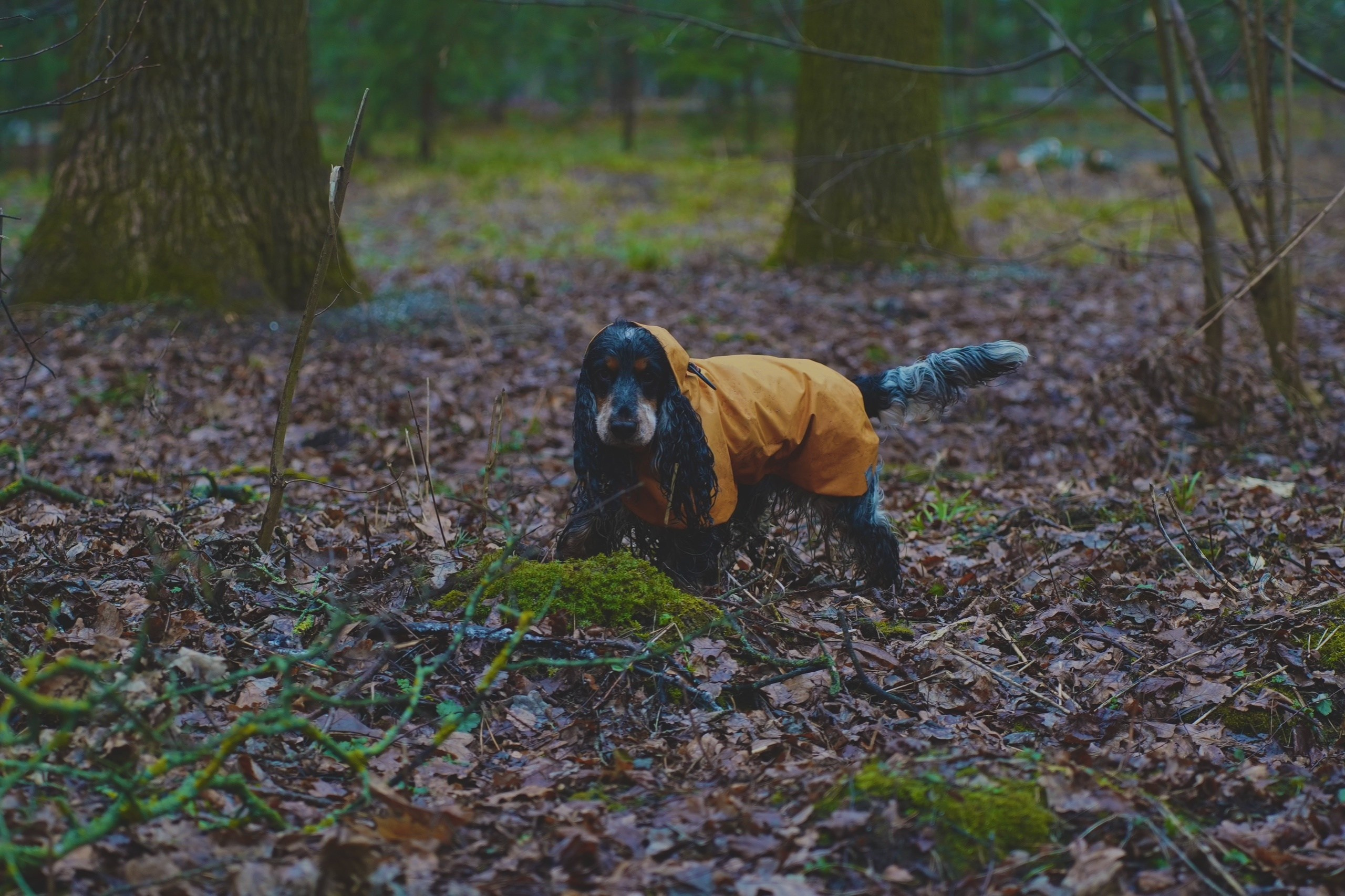 TIMYAN. Фотограф и визуальный художник в Туле / Николай Рейзвих