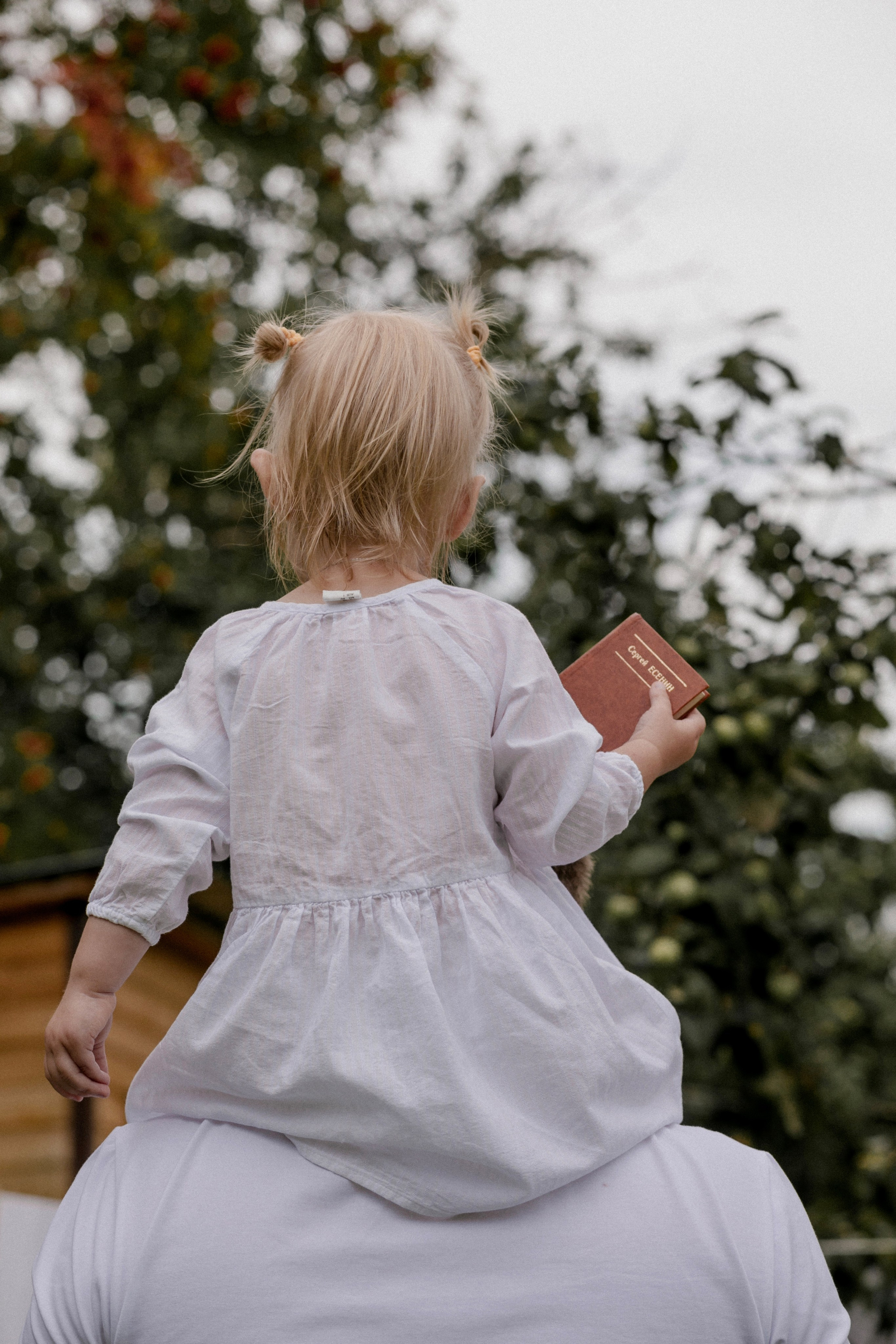 Инна + Андрей + Николь. Главная