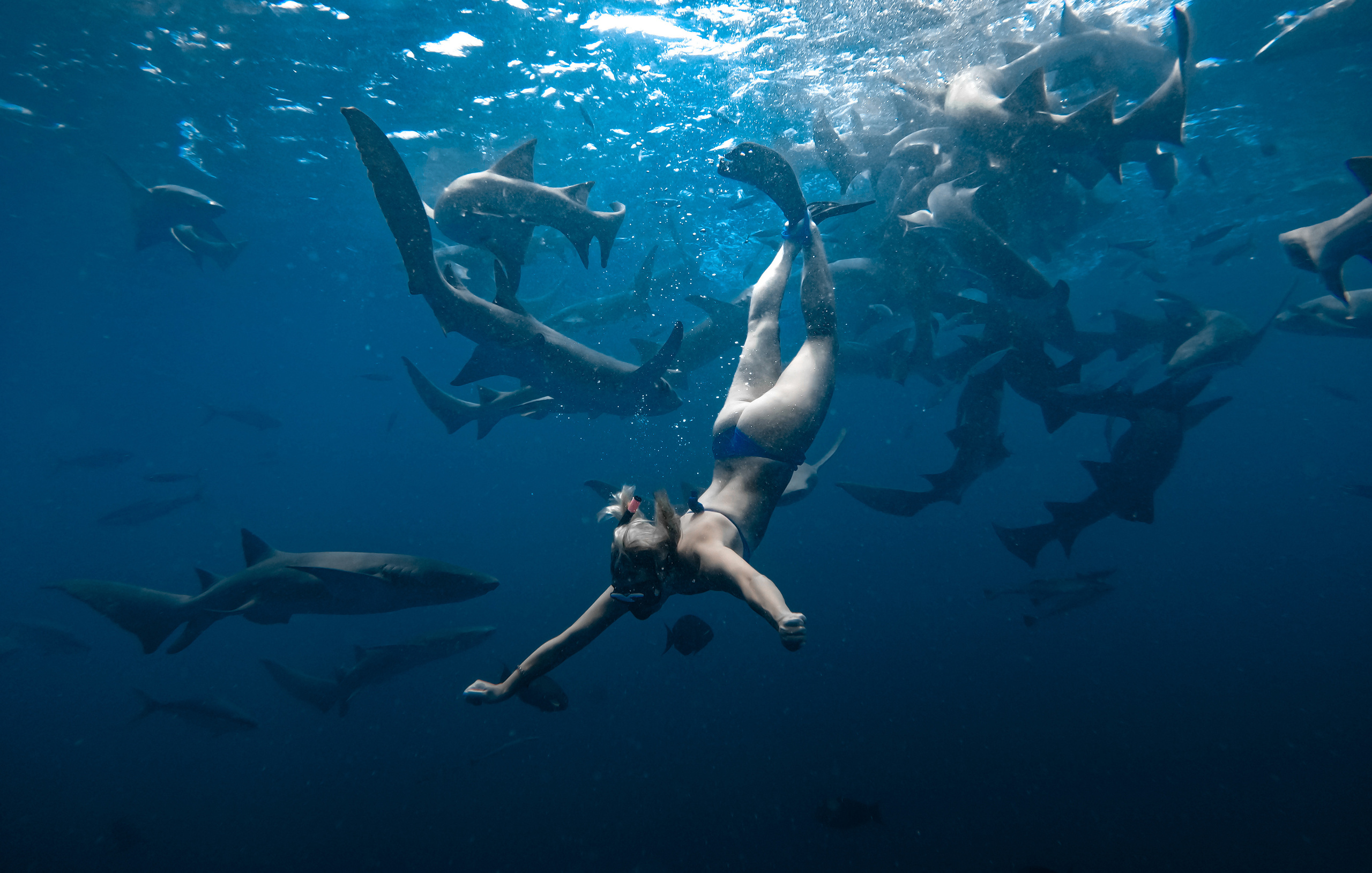 Туристическое агентство на Мальдивах Velaa Trips