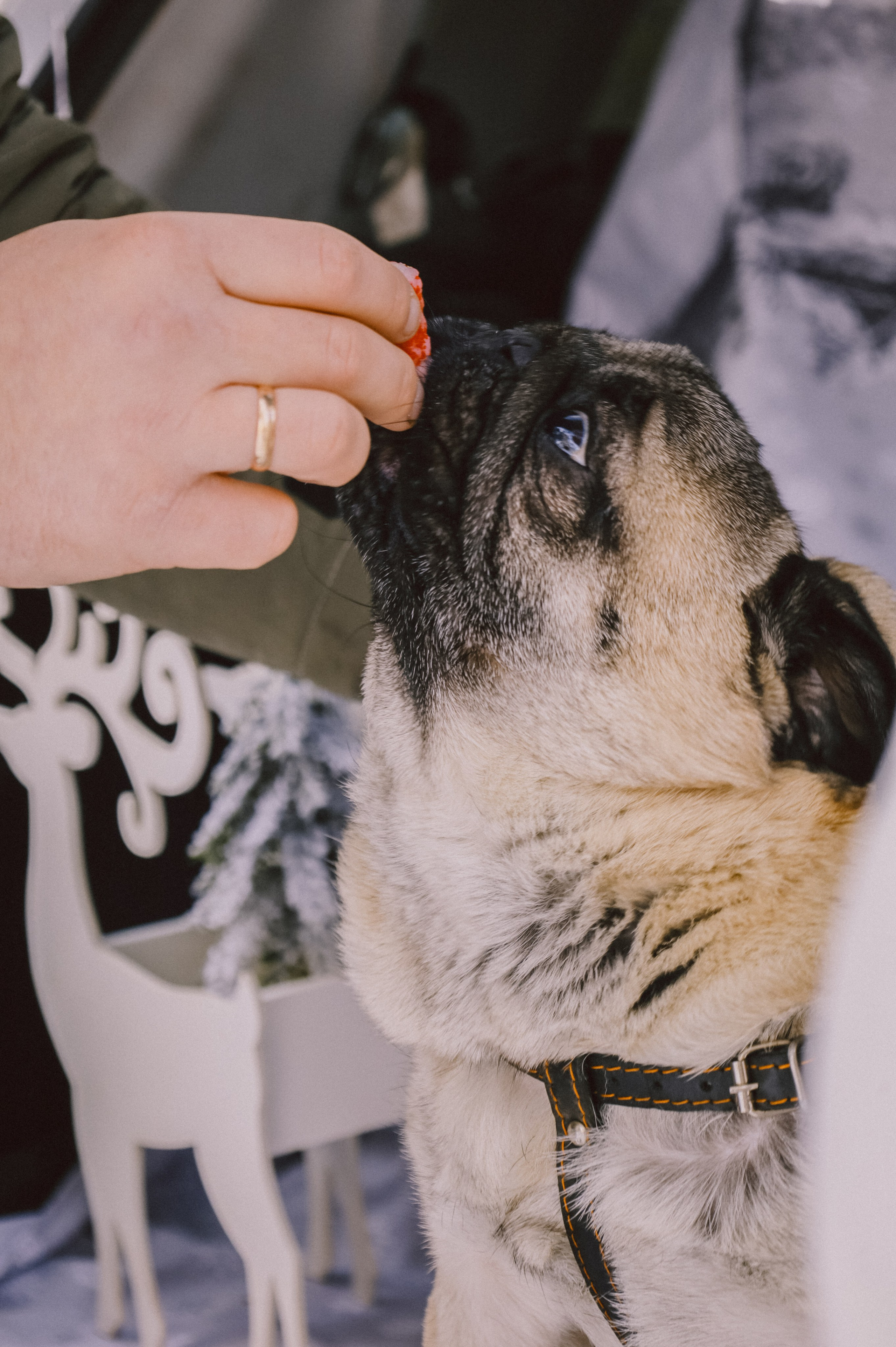 Анастасия & Никита. Никонорова Анастасия