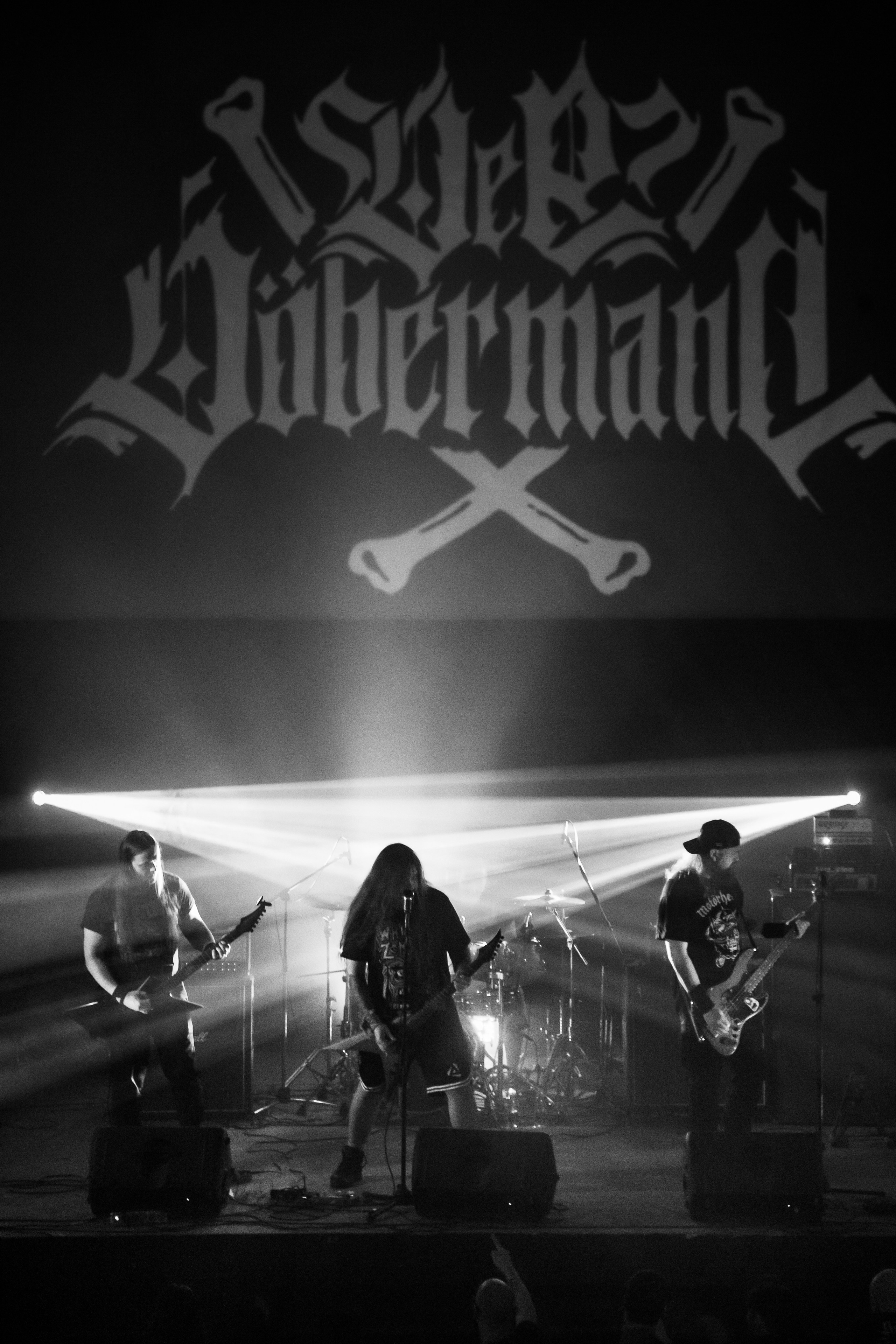 Der Döberman. Фотограф в Санкт-Петербурге Чумаков Семен