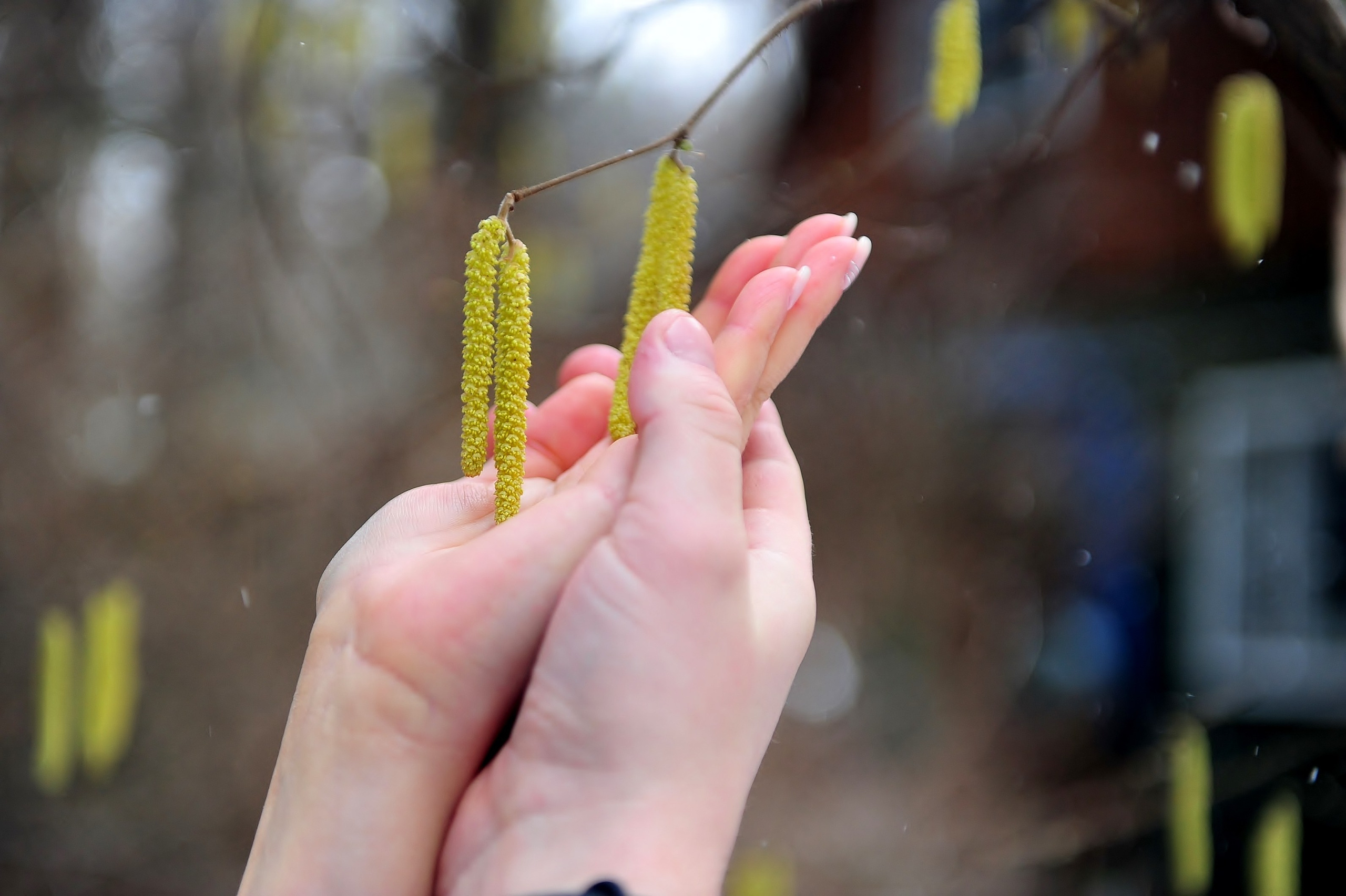 Свадьба в музее-усадьбе К. И. Чуковского в конце зимы. Свадебный и семейный фотограф в Москве Ирина Гончарова