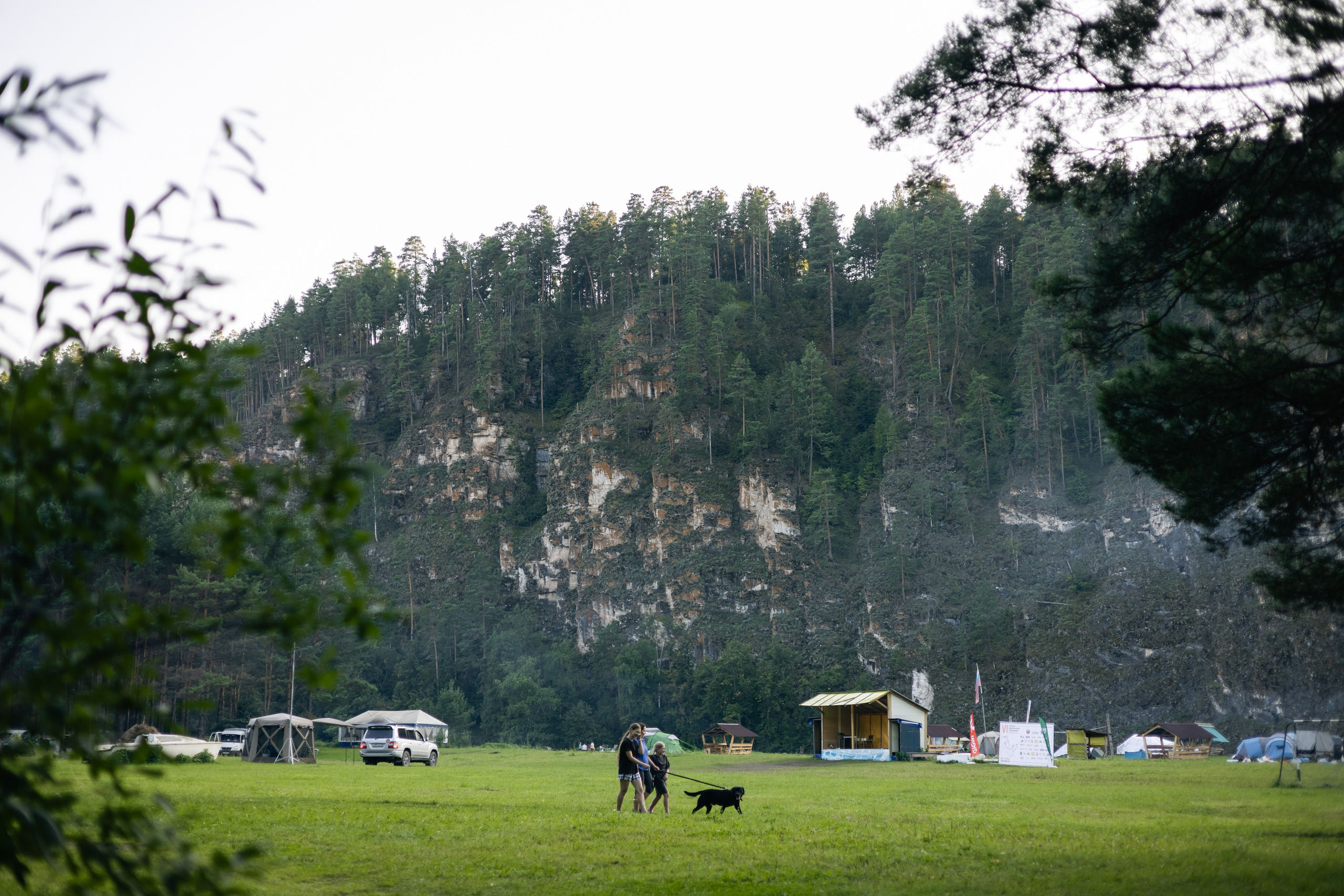 VI ОТКРЫТЫЕ КИНОЛОГИЧЕСКИЕ СОРЕВНОВАНИЯ. ЧЕЛЯБИНСКАЯ ОБЛАСТЬ 2025. Репортажный фотограф Наталья Лапцевич