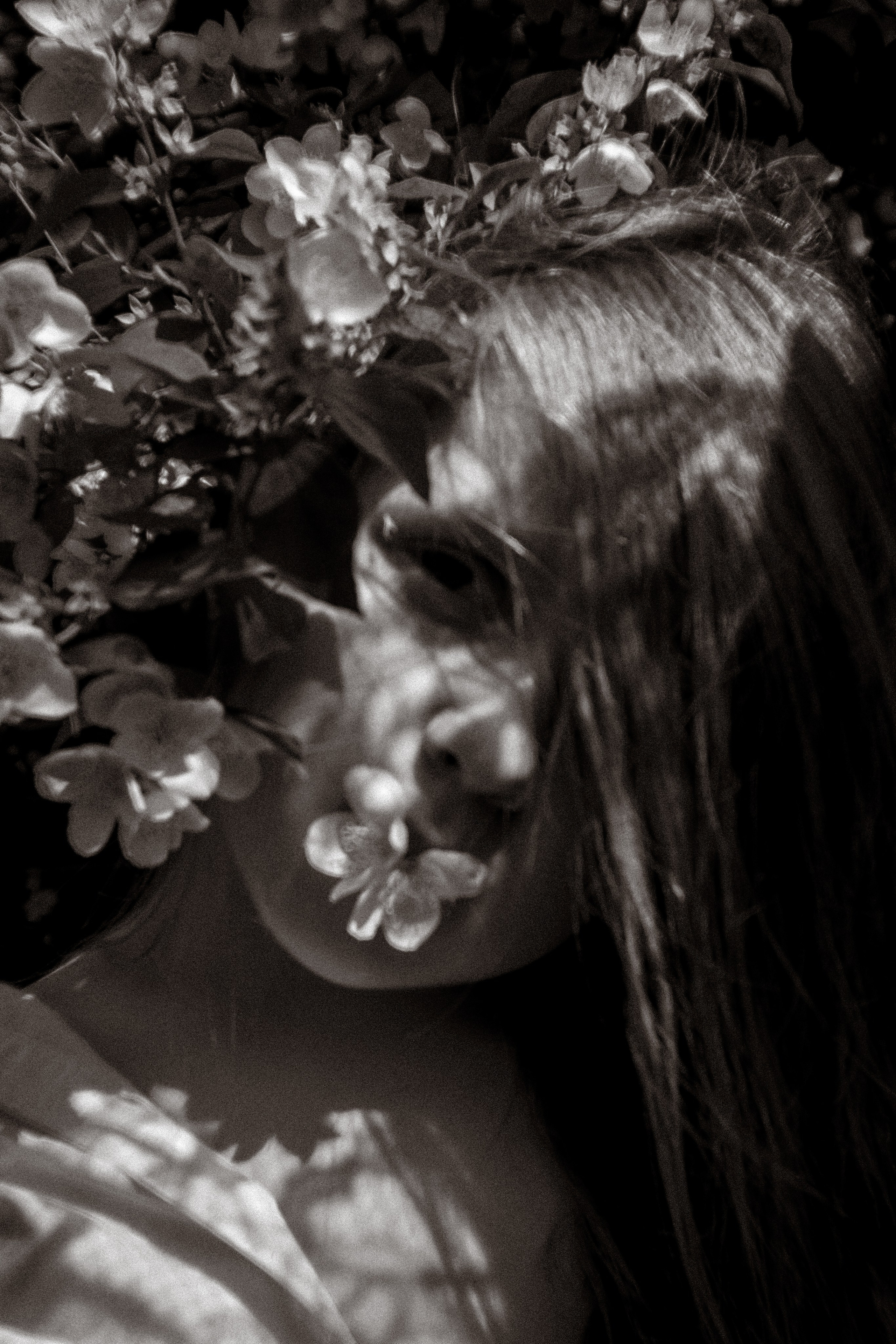 Пакет «Индивидуальный». Портретный и семейный lifestyle фотограф Мария Боленичева в Москве и Красногорске