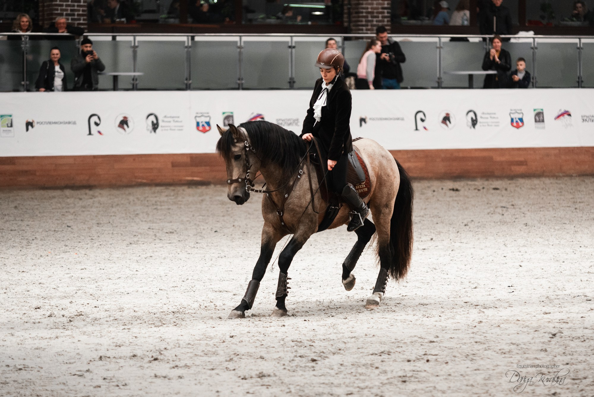 8-я международная выставка Конная Россия. Конный фотограф Куракина Дарья • Фотосессии с лошадьми