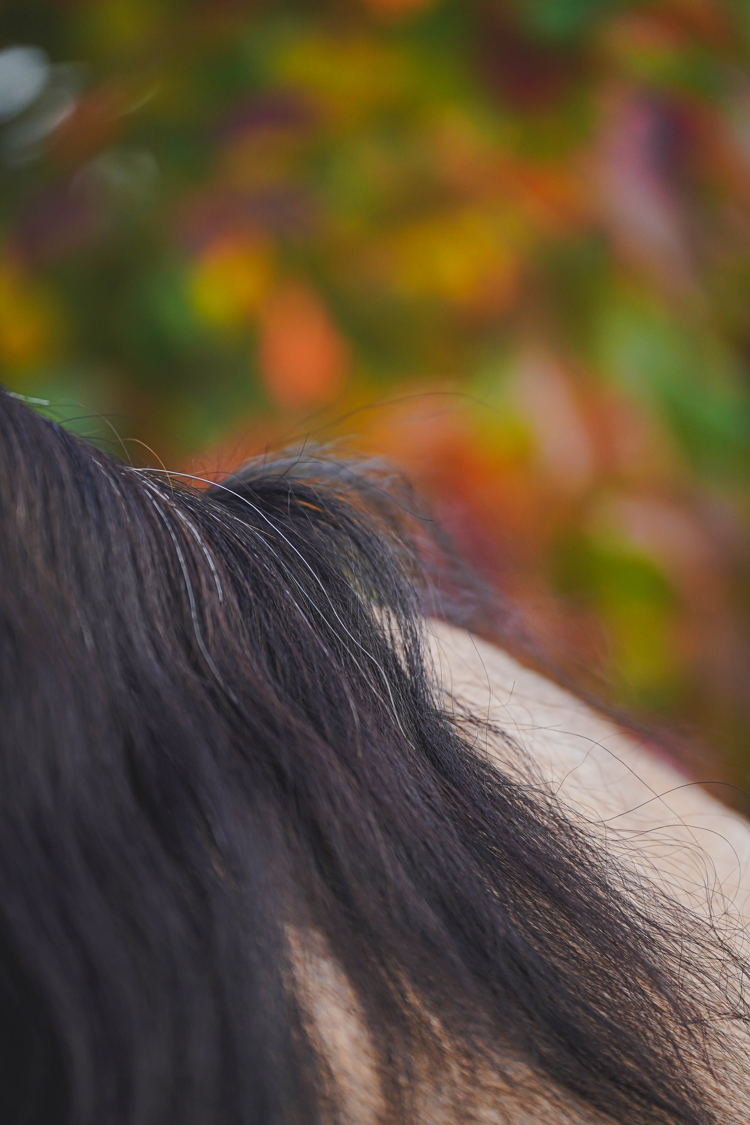 Экстерьер и спорт. Фотограф в Москве Ленарская Дарья