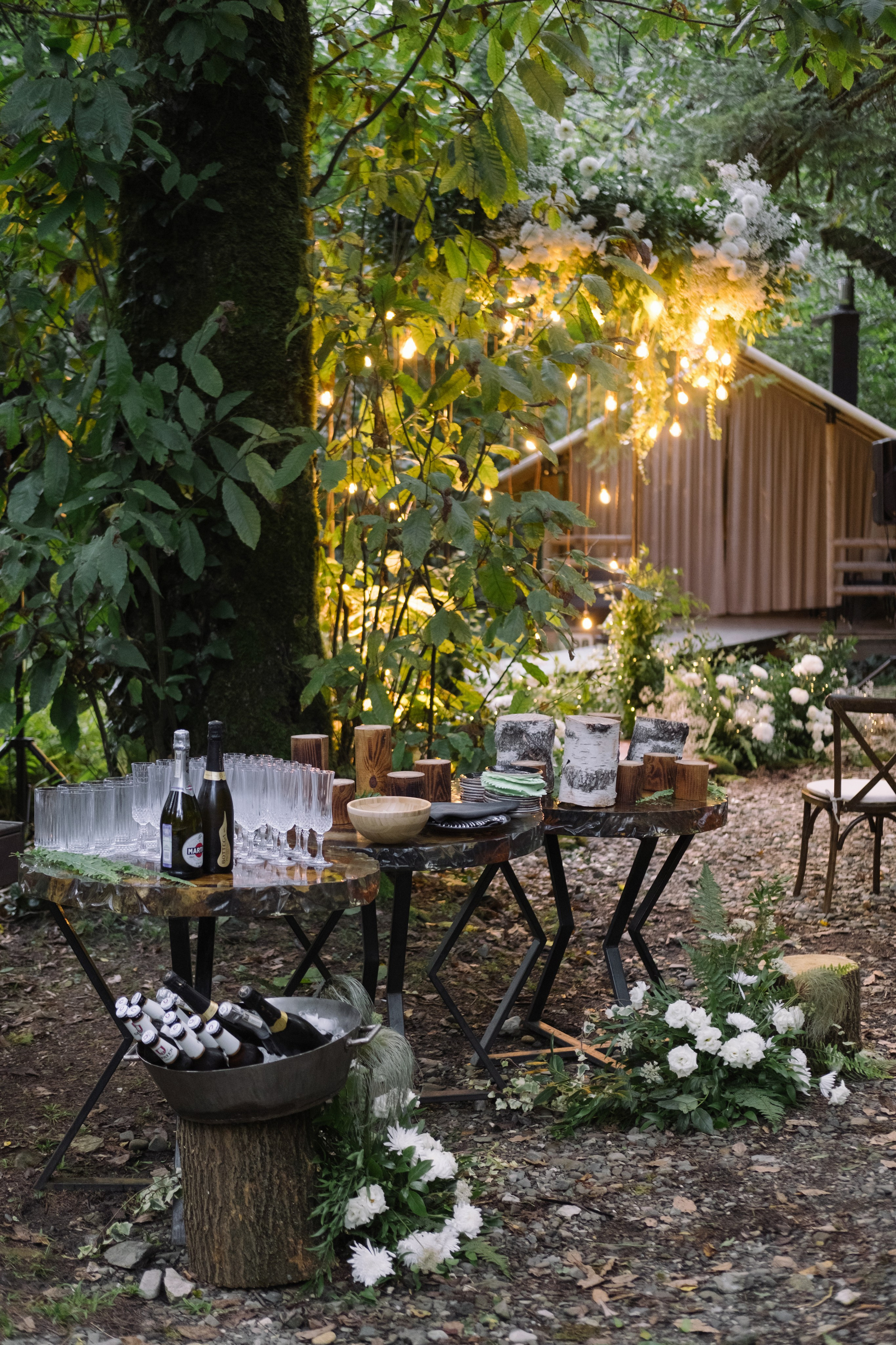 Кот и Дракон. Свадебный Видеограф Фотограф в Сочи