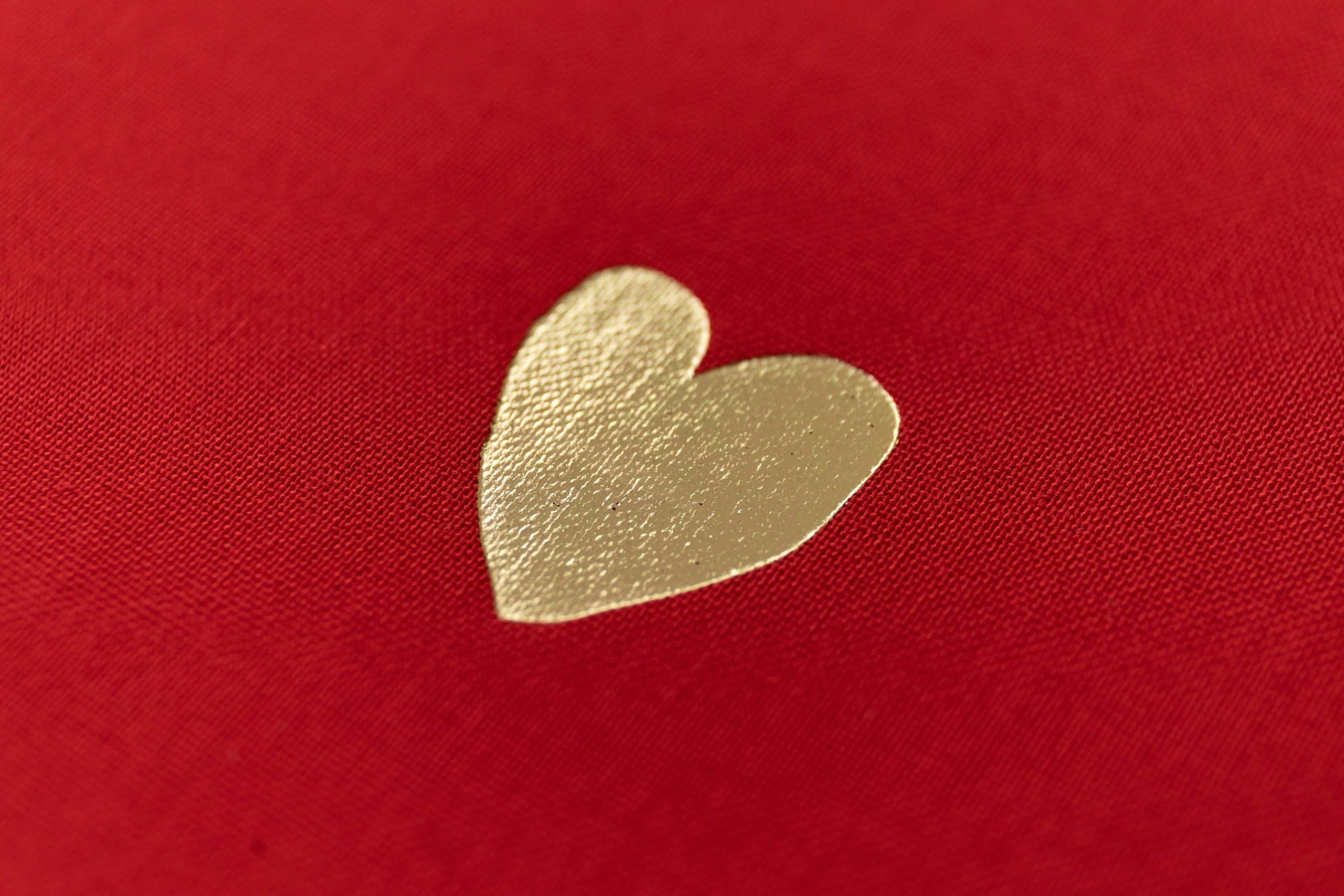 Фотокниги свадебные. Свадебный и семейный фотограф Пушкин Царское Село СПБ Питер Санкт-Петербург и Рязань Ольга Козлова