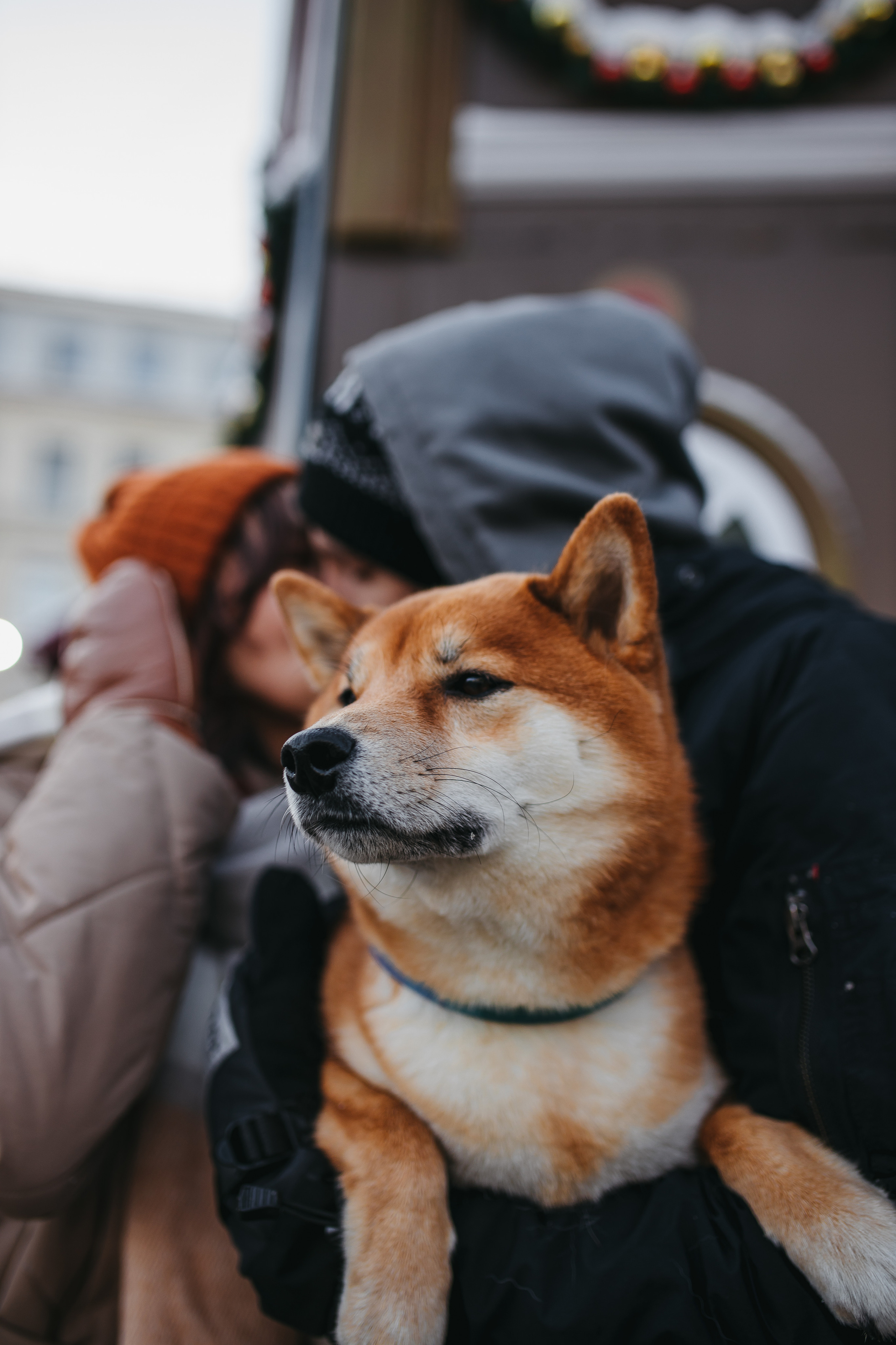 Аина и Леша. Фотограф в Санкт-Петербурге Ромаданова Варвара