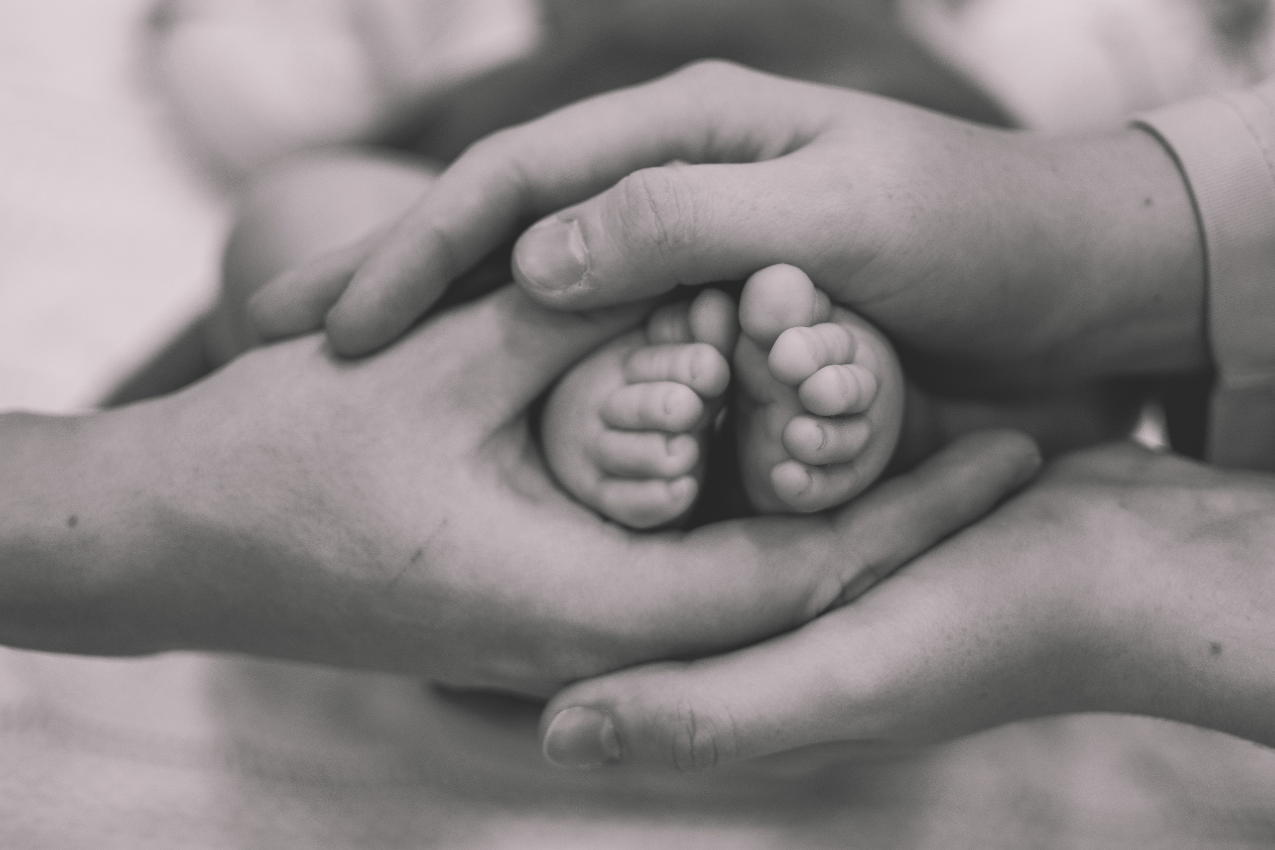 Семейная фотоистория. Семейный и свадебный фотограф Губкинский и Ставрополь